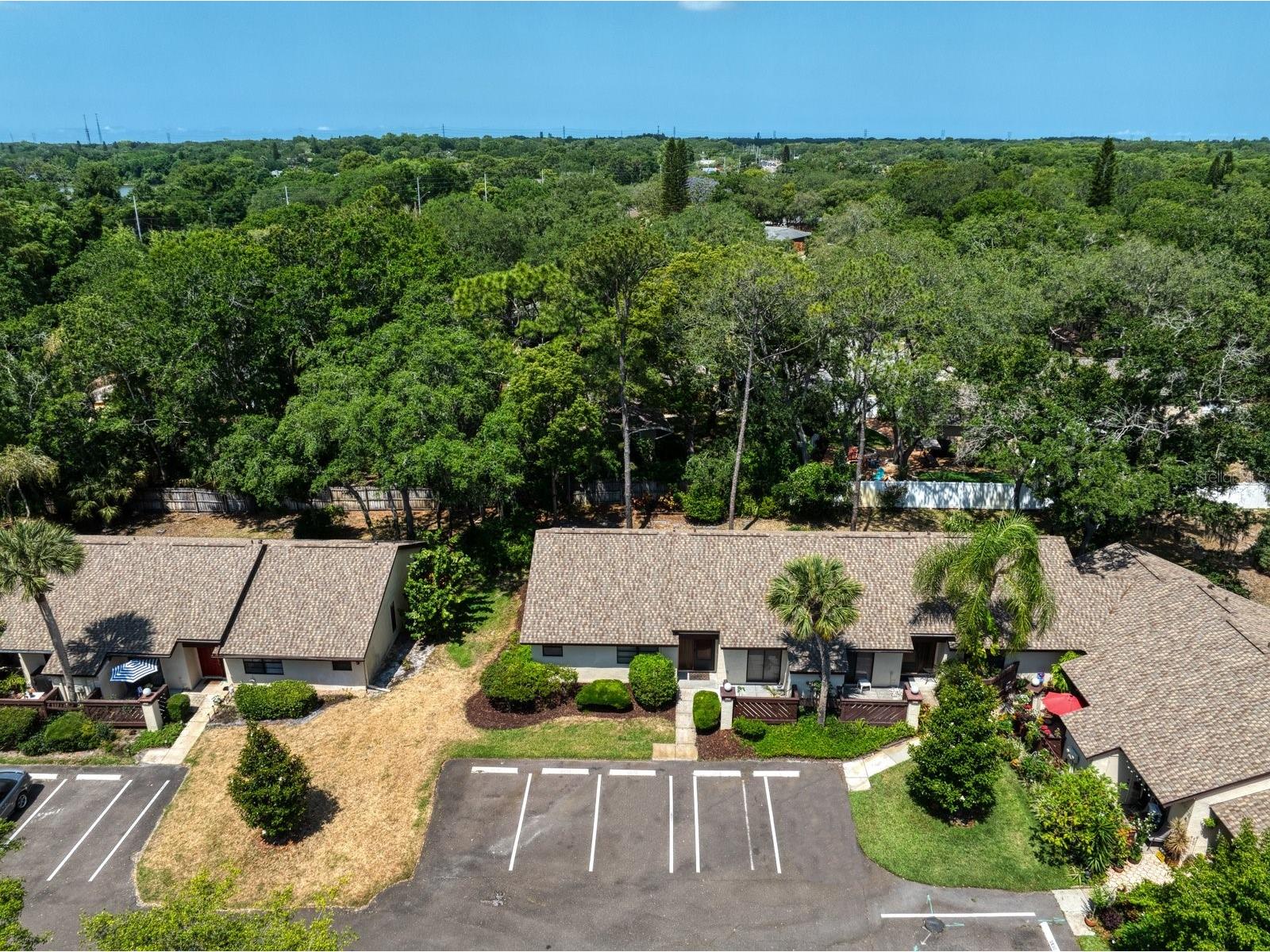 2926 Star Apple Court Palm Harbor FL 34684 TB8521358 image22