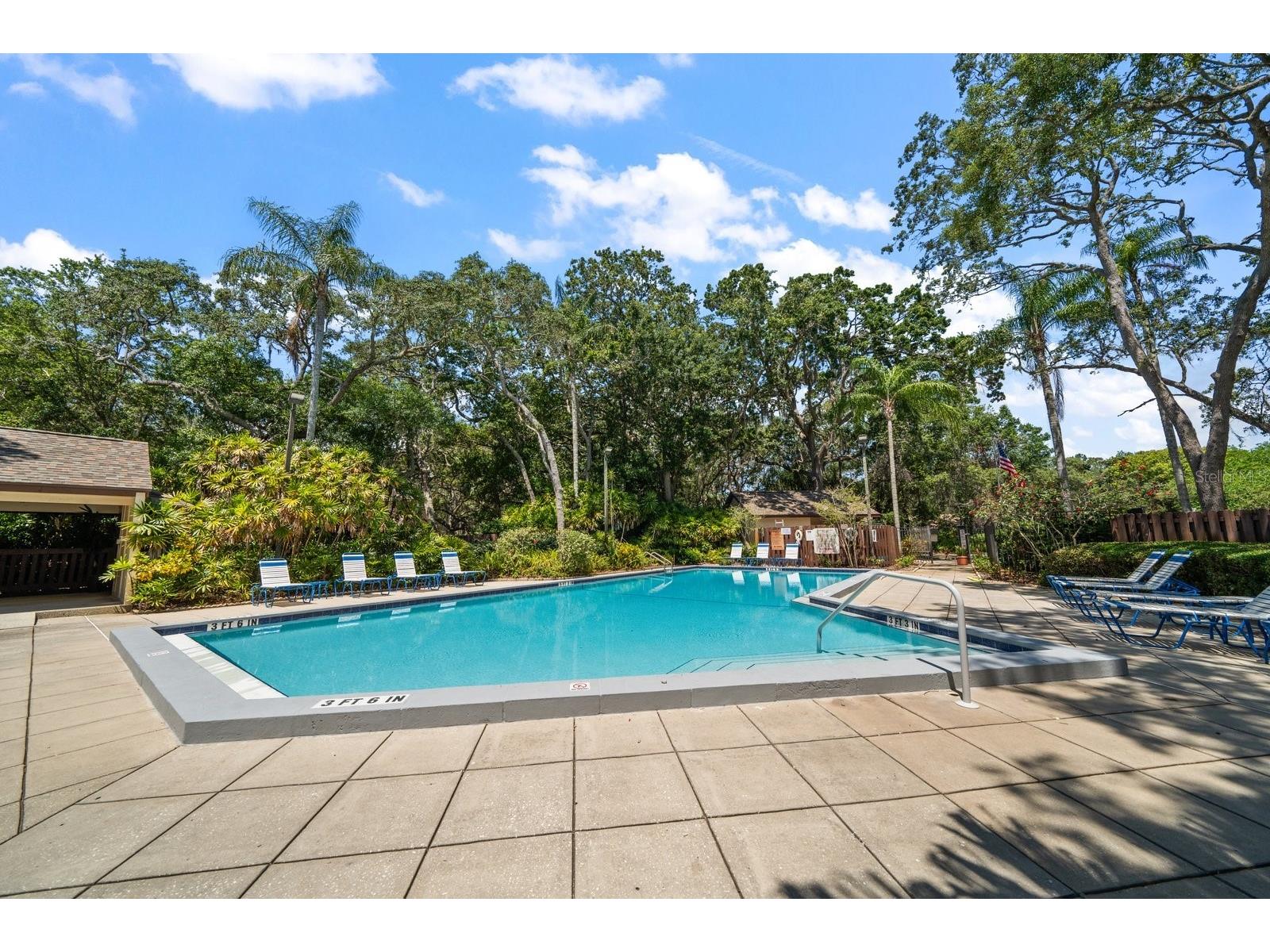 2926 Star Apple Court Palm Harbor FL 34684 TB8521358 image23
