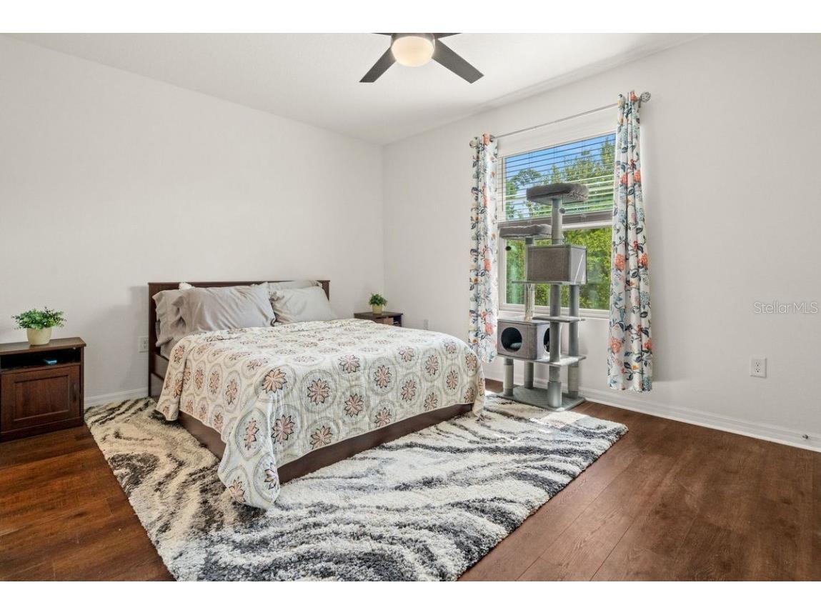 2926 Suncoast Plains Drive Odessa FL 33556 U8250217 image17