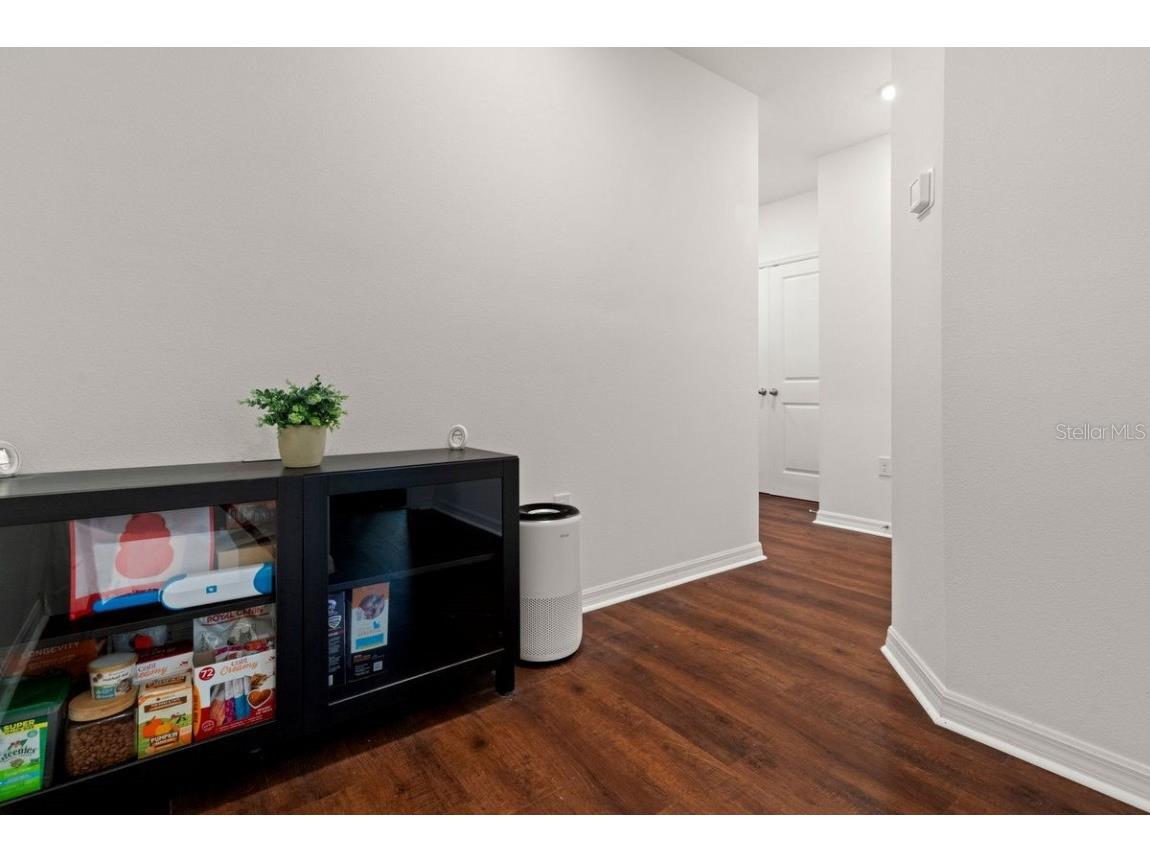 2926 Suncoast Plains Drive Odessa FL 33556 U8250217 image20