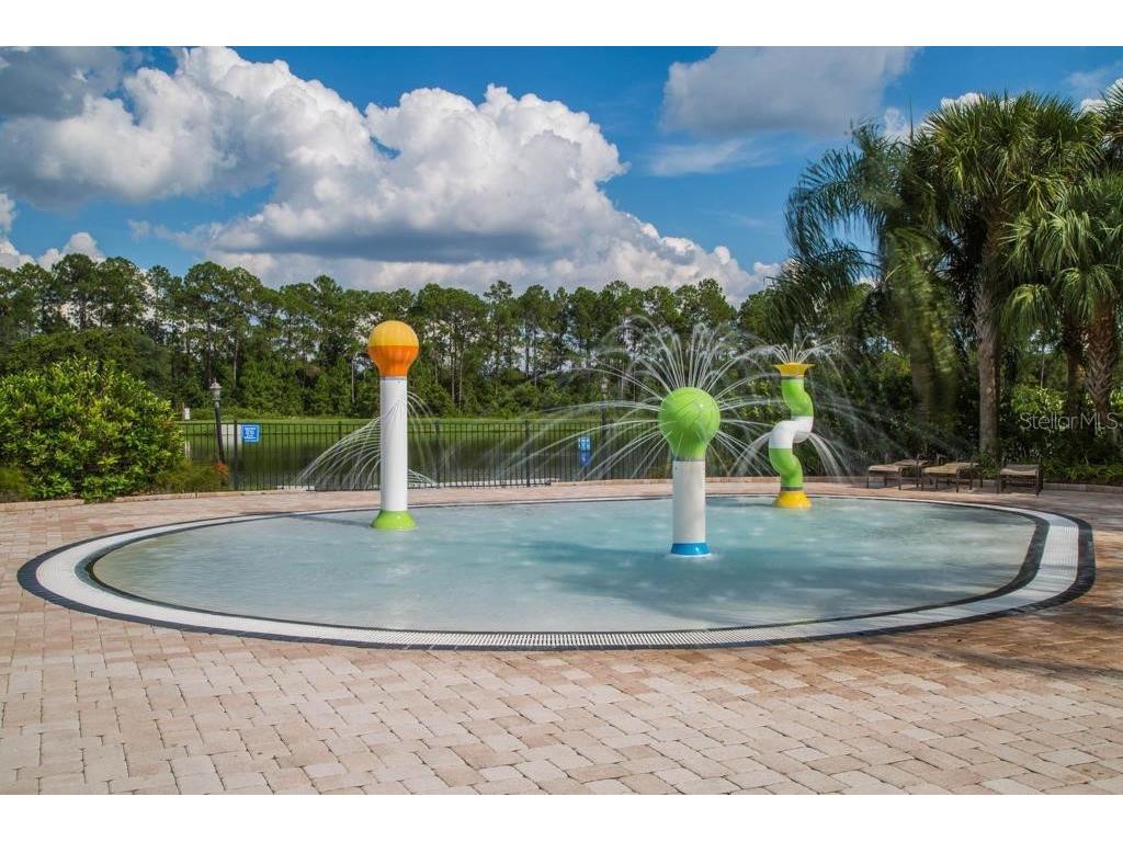 2927 Banana Palm Drive Kissimmee FL 34747 O6383026 image21