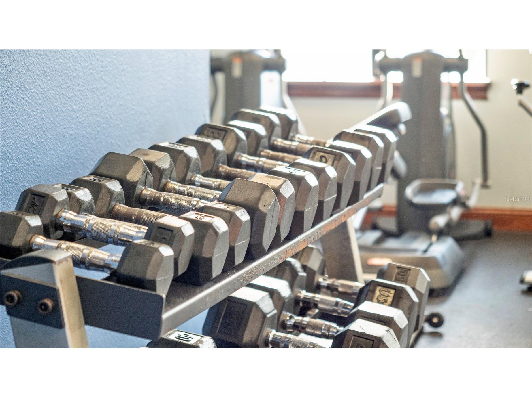 2927 Banana Palm Drive Kissimmee FL 34747 O6383026 image37