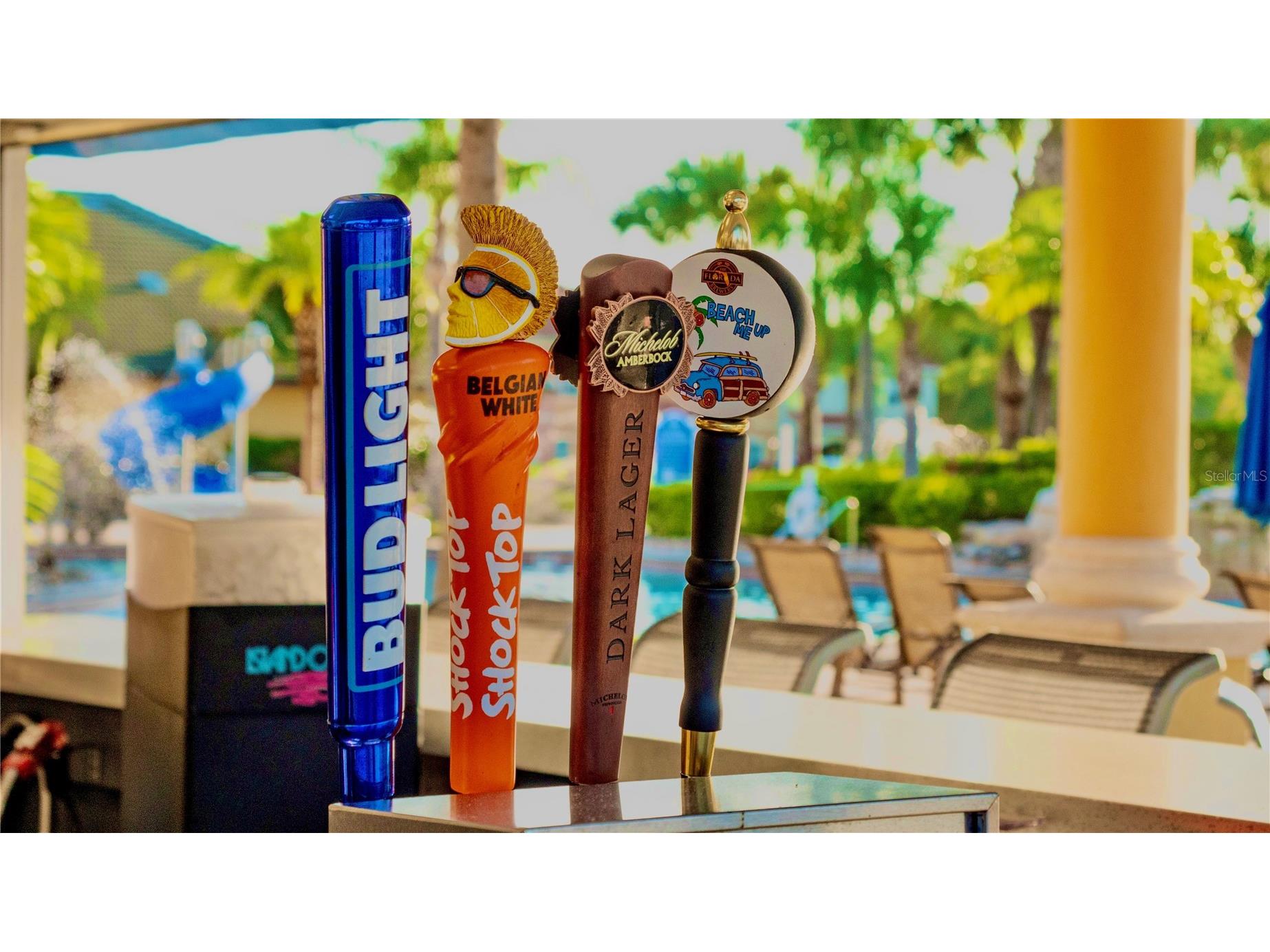 2927 Banana Palm Drive Kissimmee FL 34747 O6383026 image41