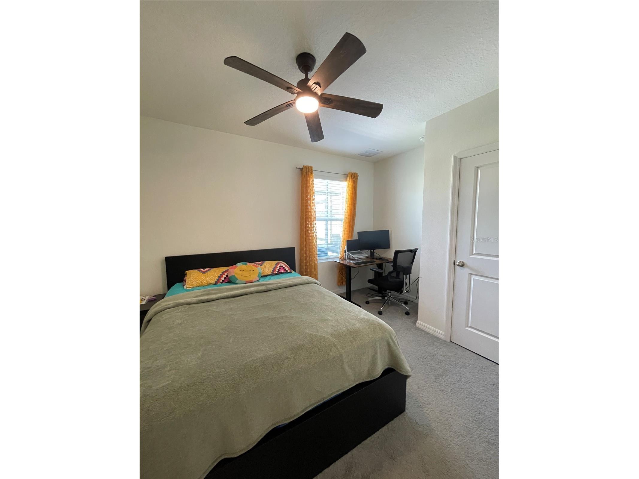 2927 Common Fig Run Wesley Chapel FL 33543 TB8507053 image10