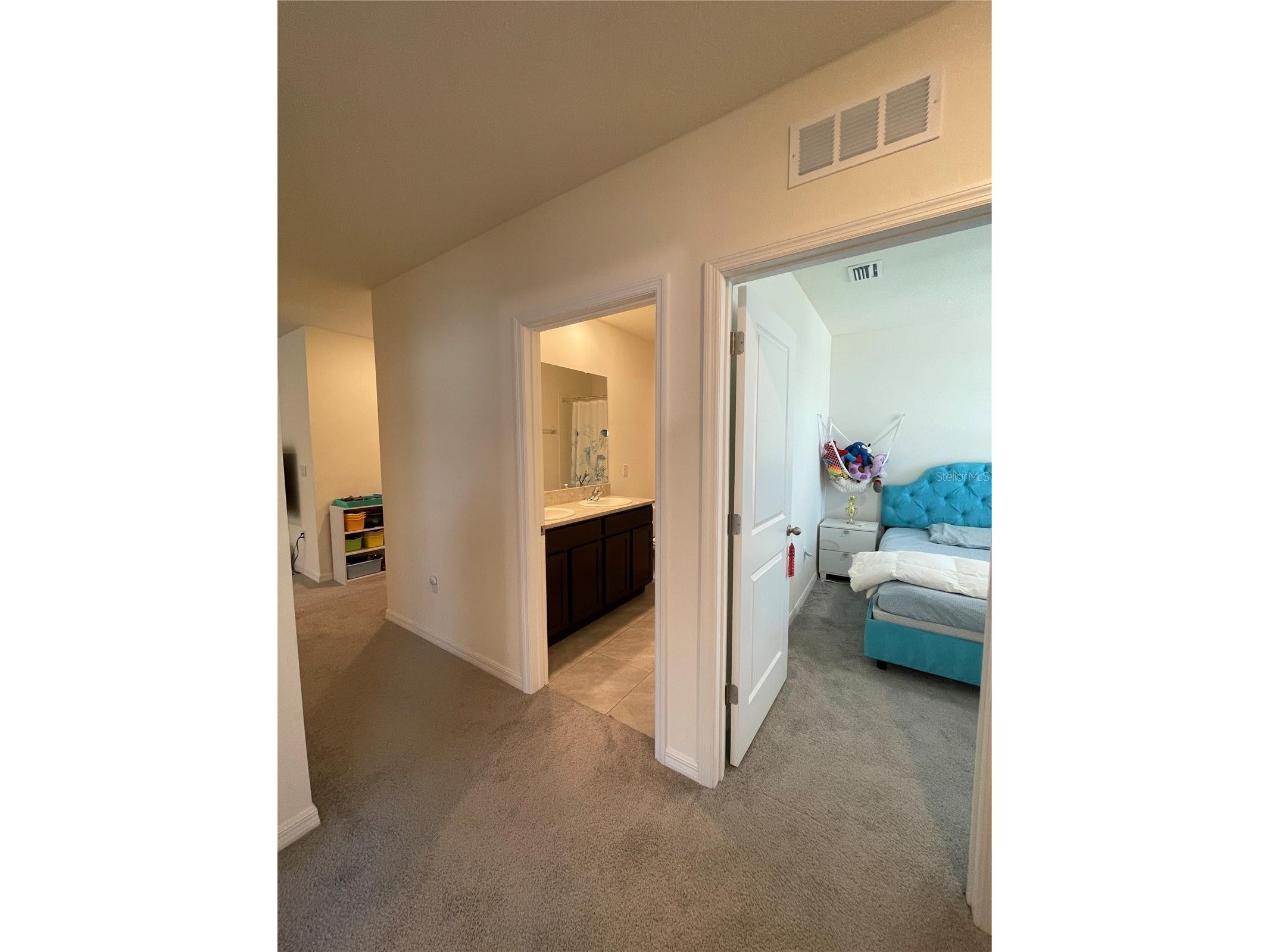 2927 Common Fig Run Wesley Chapel FL 33543 TB8507053 image15