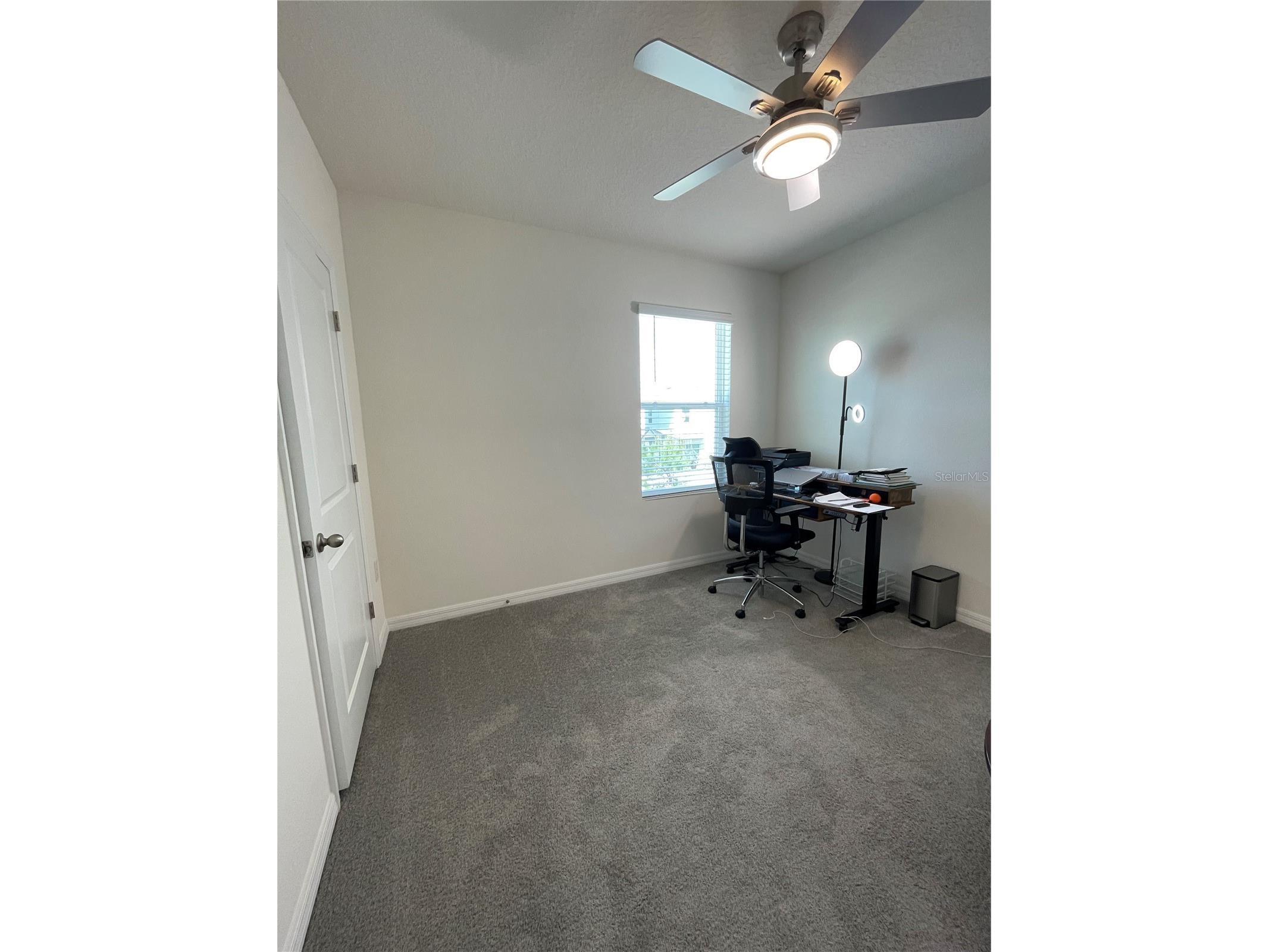 2927 Common Fig Run Wesley Chapel FL 33543 TB8507053 image17