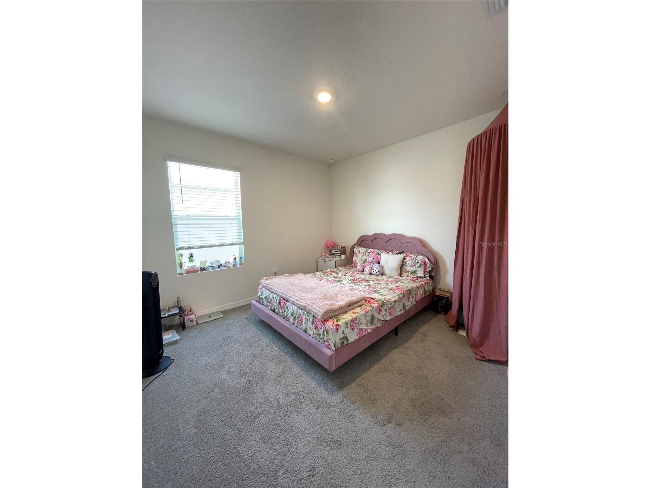 2927 Common Fig Run Wesley Chapel FL 33543 TB8507053 image18