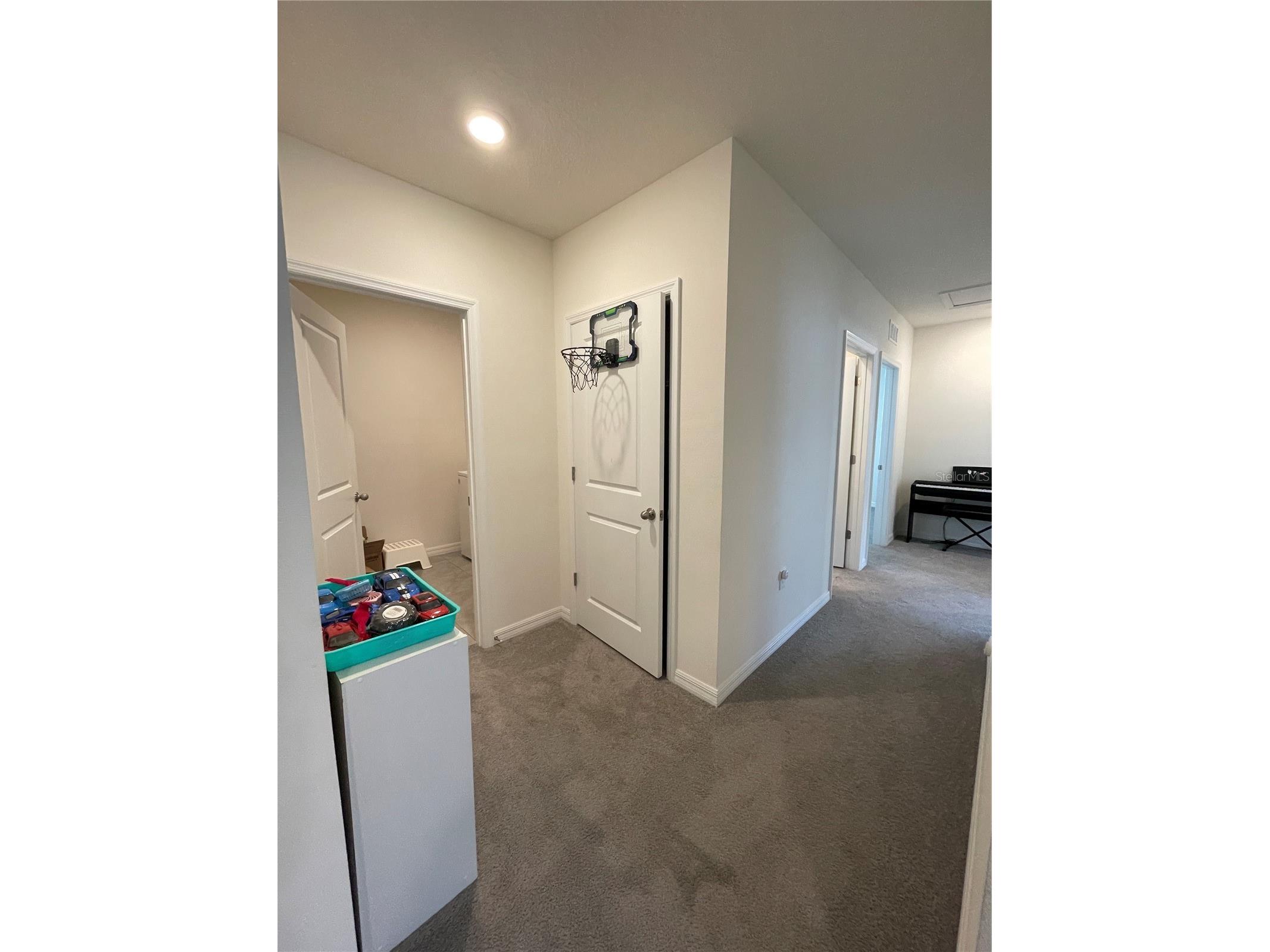 2927 Common Fig Run Wesley Chapel FL 33543 TB8507053 image20