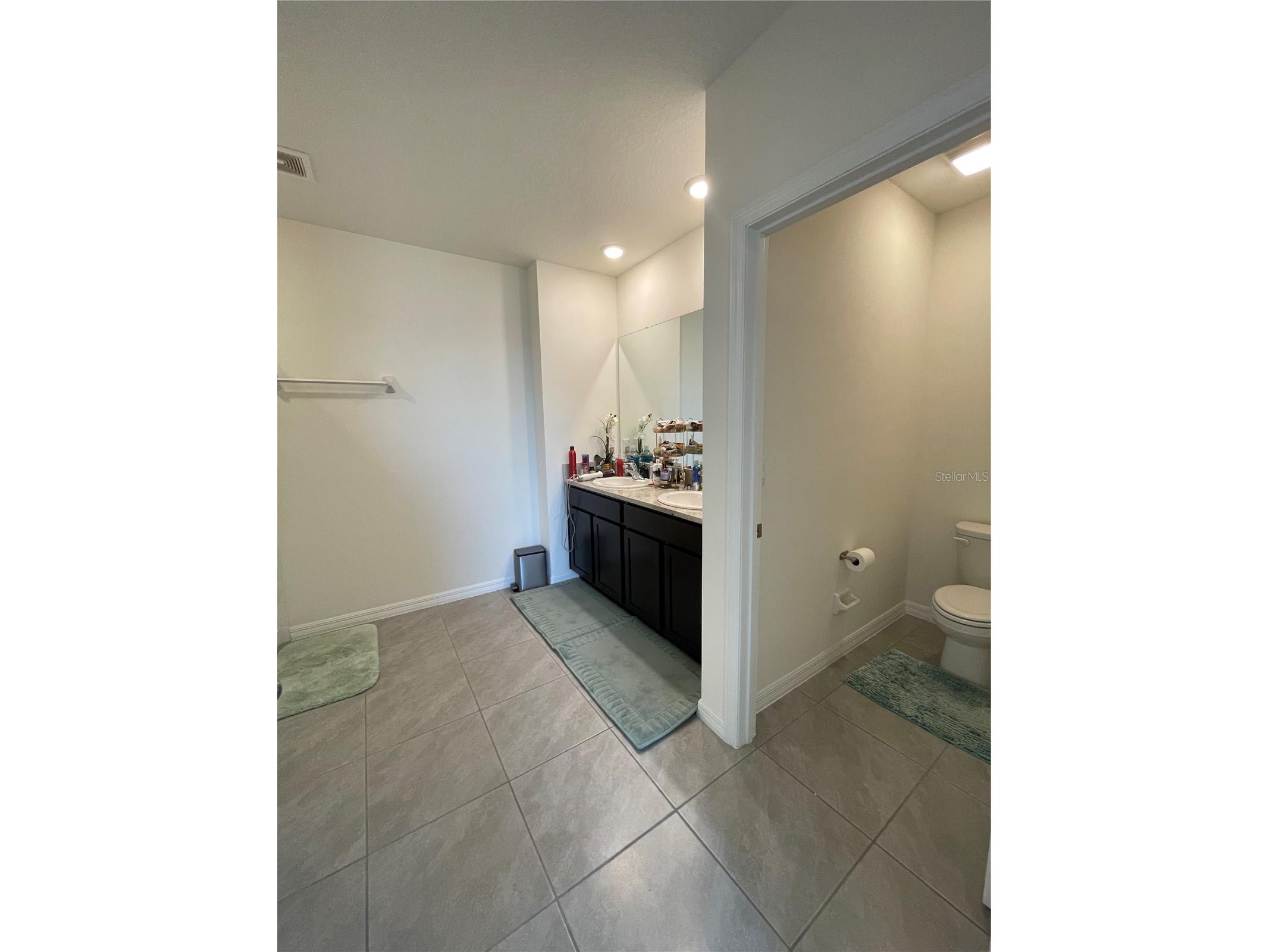 2927 Common Fig Run Wesley Chapel FL 33543 TB8507053 image21