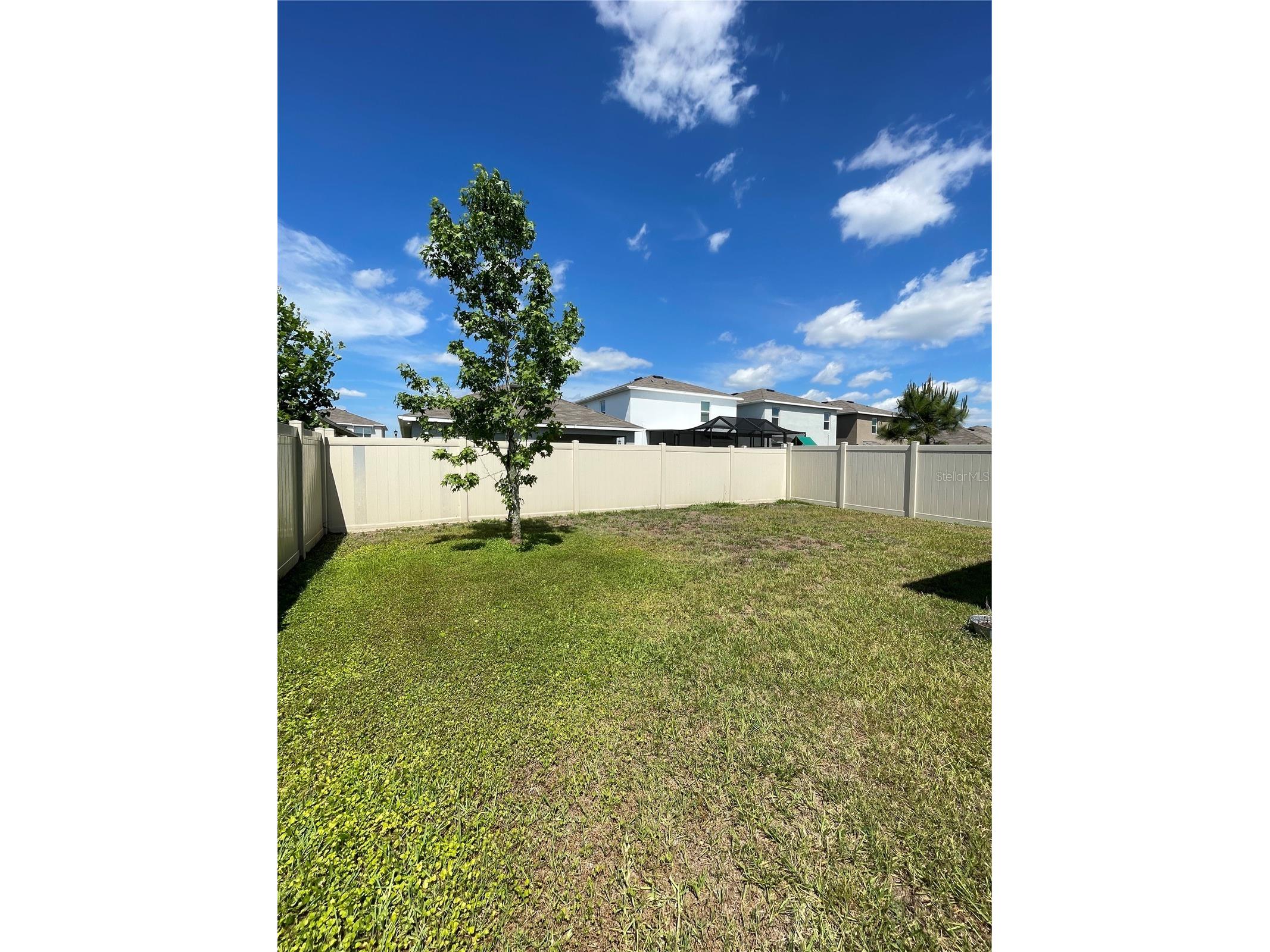 2927 Common Fig Run Wesley Chapel FL 33543 TB8507053 image29