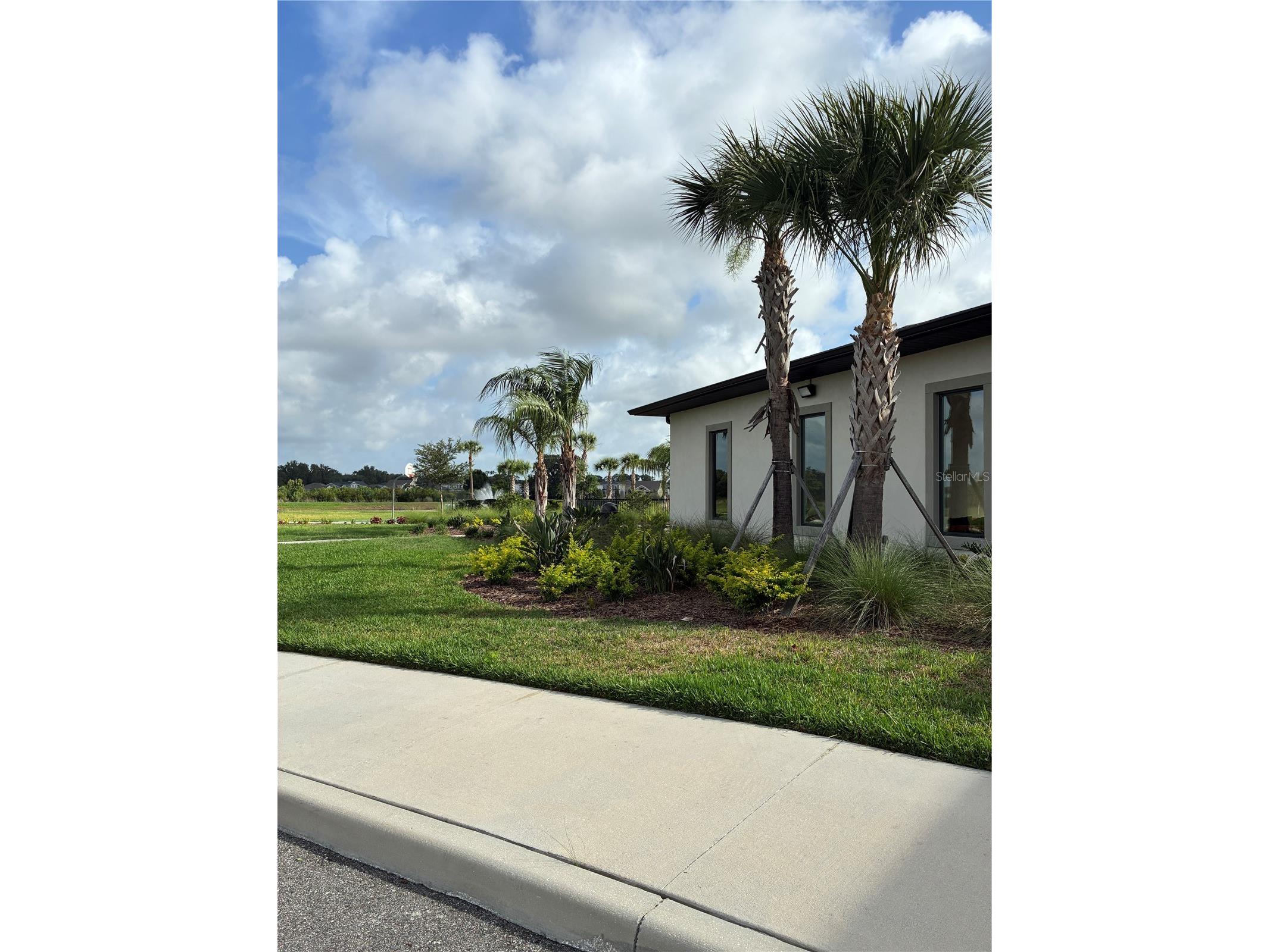 2927 Common Fig Run Wesley Chapel FL 33543 TB8507053 image31