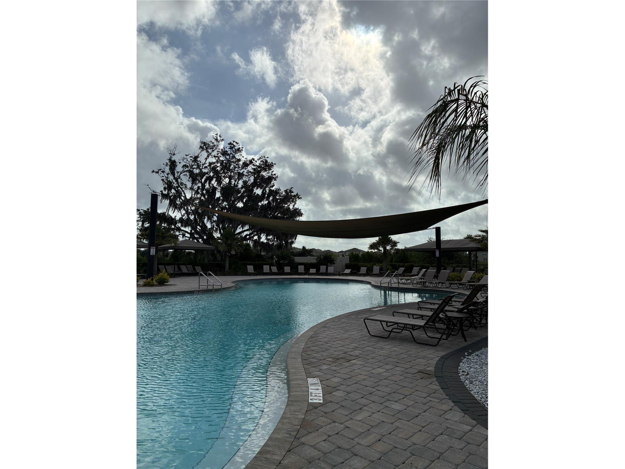 2927 Common Fig Run Wesley Chapel FL 33543 TB8507053 image32