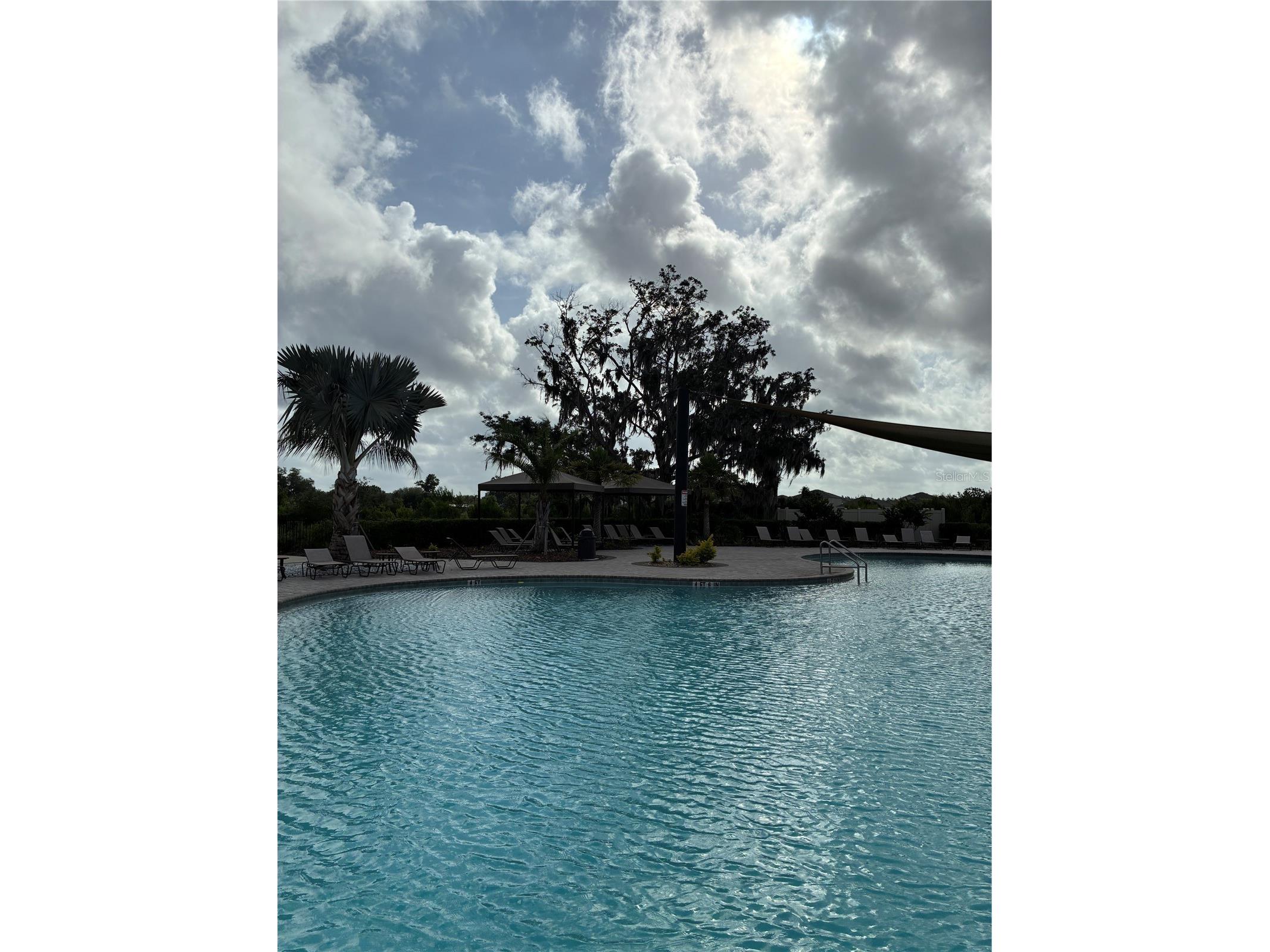 2927 Common Fig Run Wesley Chapel FL 33543 TB8507053 image33