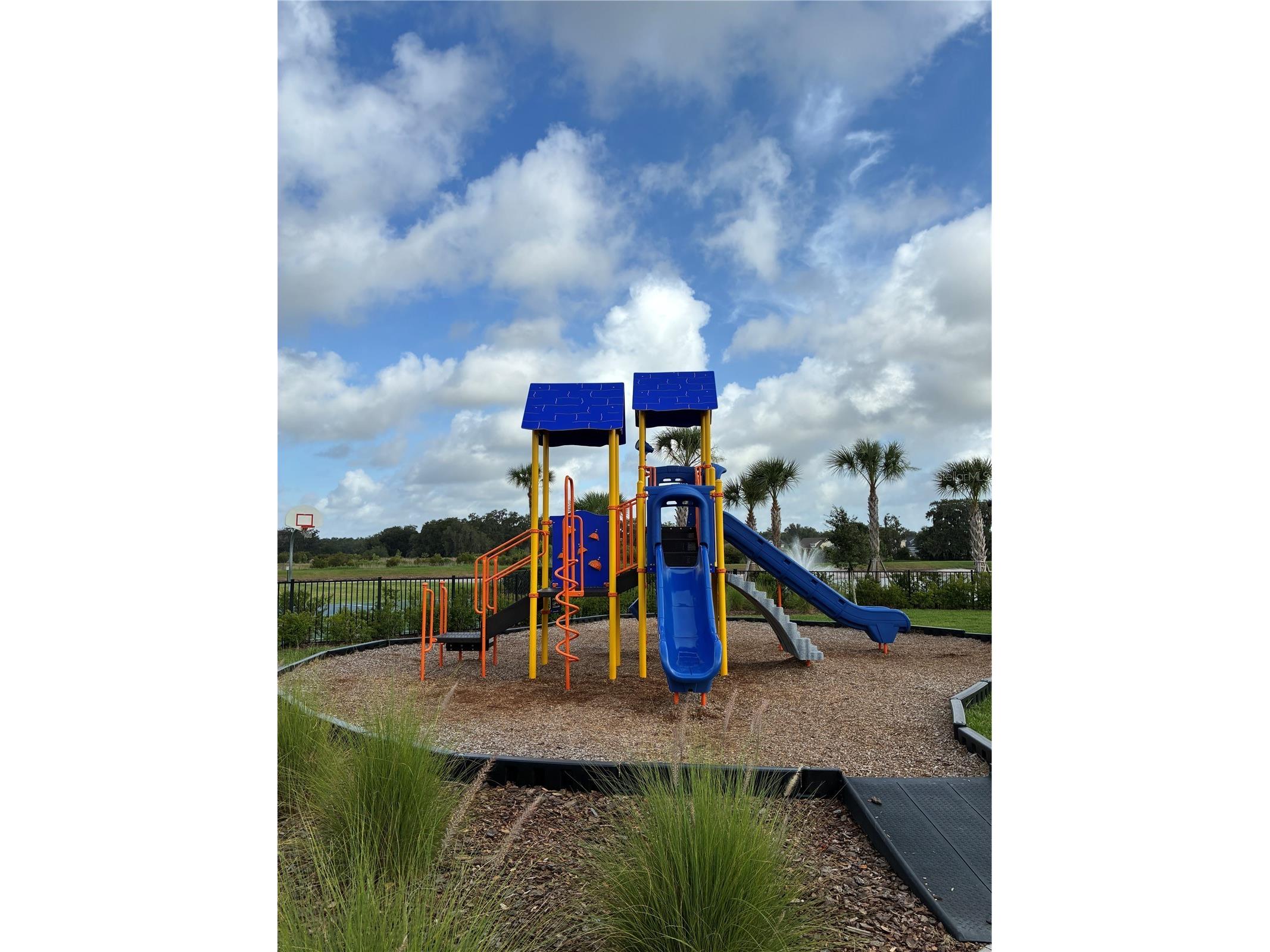 2927 Common Fig Run Wesley Chapel FL 33543 TB8507053 image37
