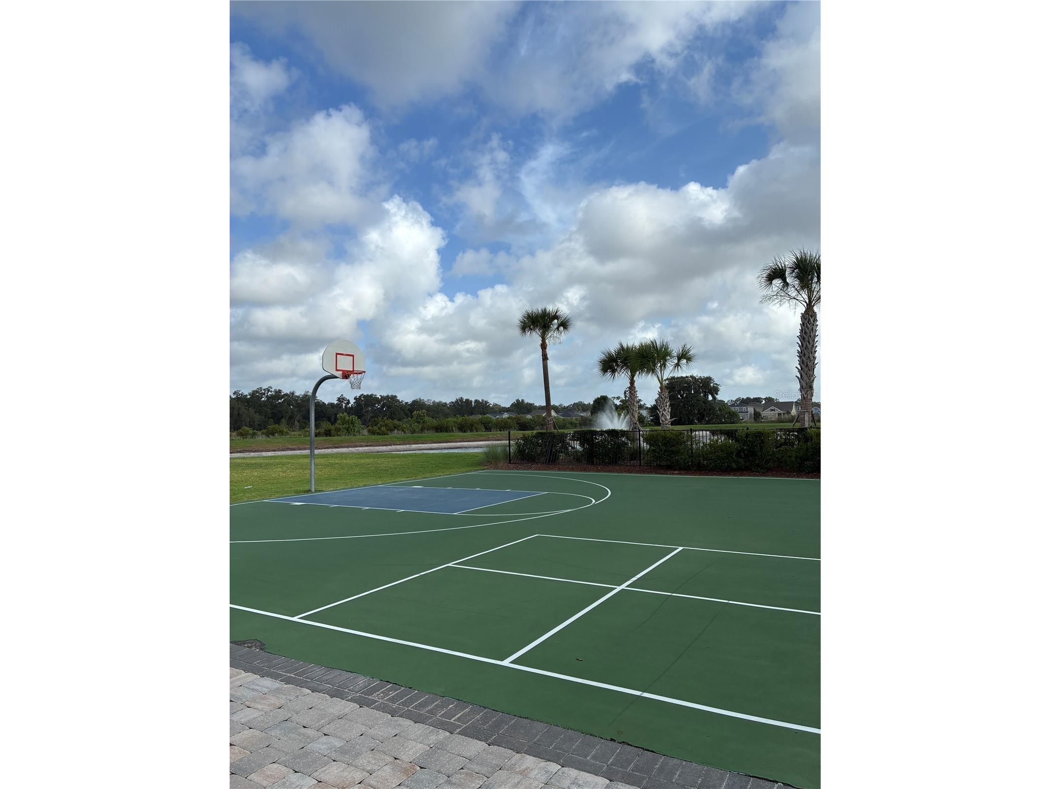 2927 Common Fig Run Wesley Chapel FL 33543 TB8507053 image39
