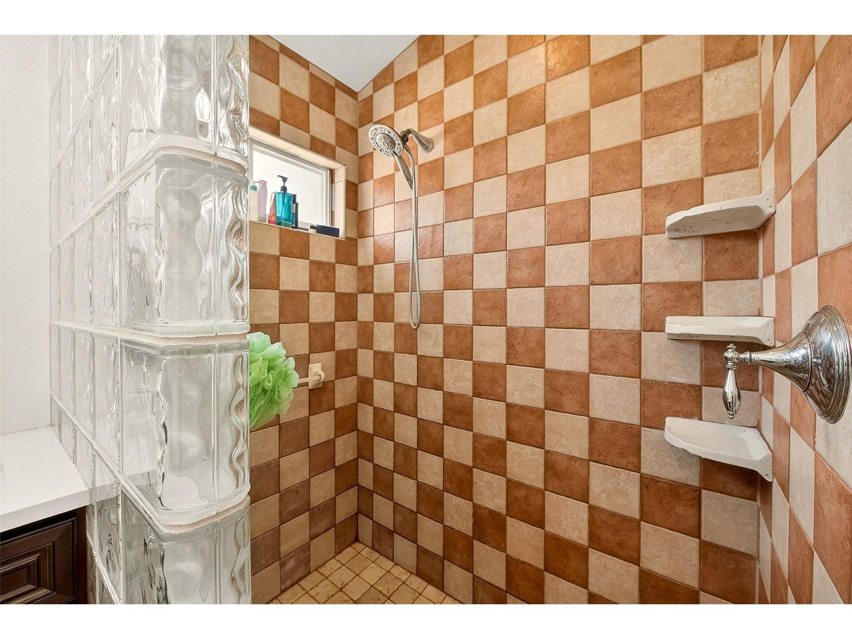 2927 Hickory Grove Drive Valrico FL 33596 TB8494363 image26