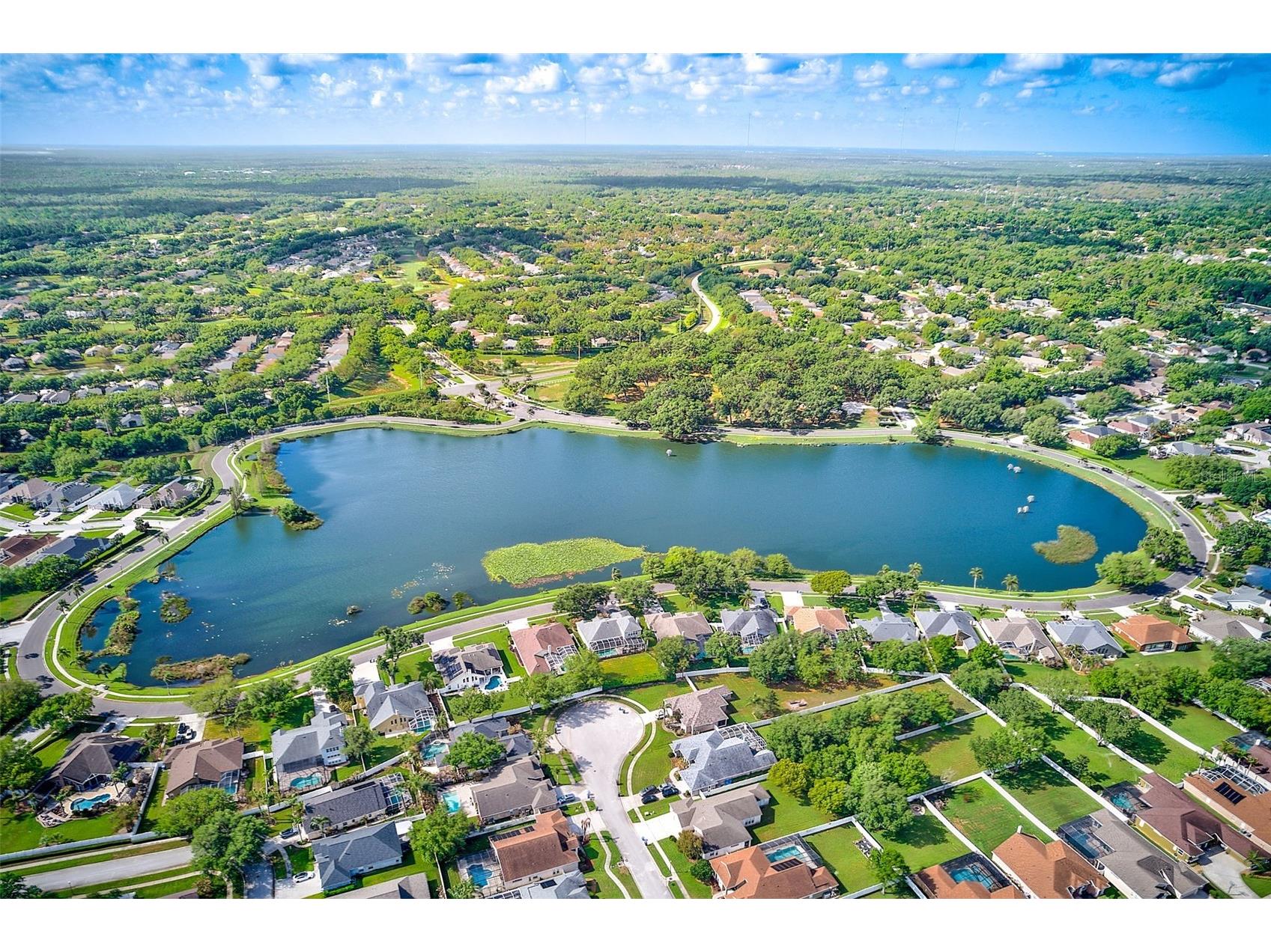 2927 Hickory Grove Drive Valrico FL 33596 TB8494363 image52