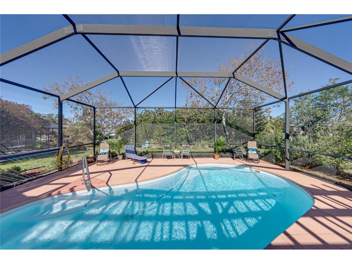 2927 Macalpin Drive S #9 Palm Harbor FL 34684 - LAKE TARPON TB8458771 image15