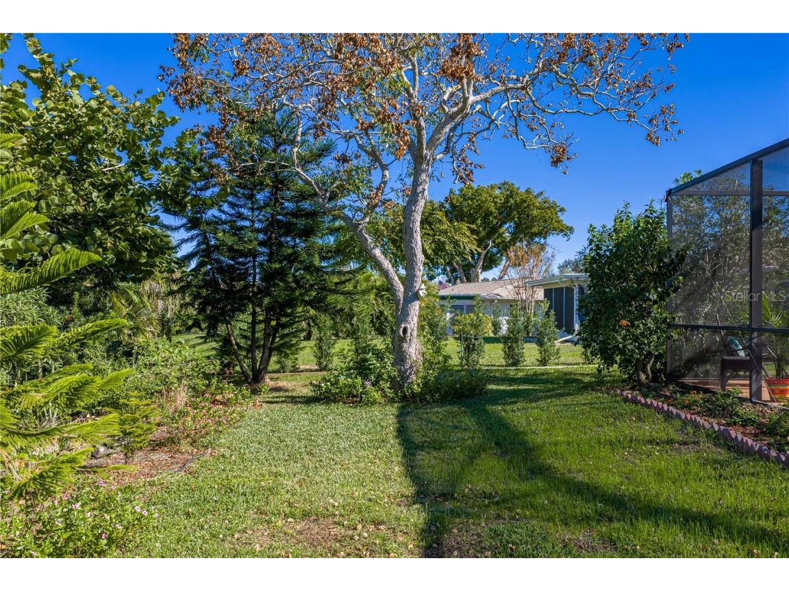 2927 Macalpin Drive S #9 Palm Harbor FL 34684 - LAKE TARPON TB8458771 image31