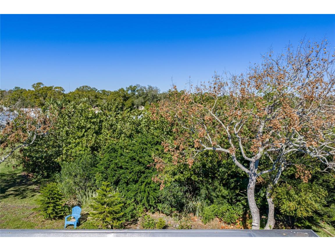 2927 Macalpin Drive S #9 Palm Harbor FL 34684 - LAKE TARPON TB8458771 image33