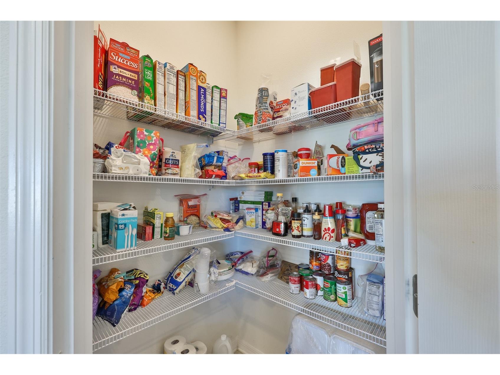2927 Marine Grass Drive Wimauma FL 33598 TB8520715 image10