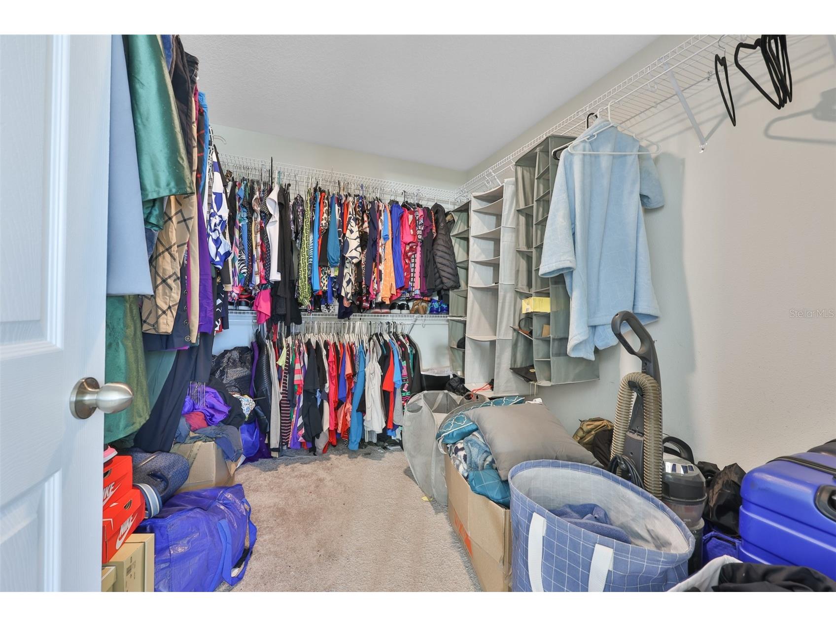 2927 Marine Grass Drive Wimauma FL 33598 TB8520715 image16