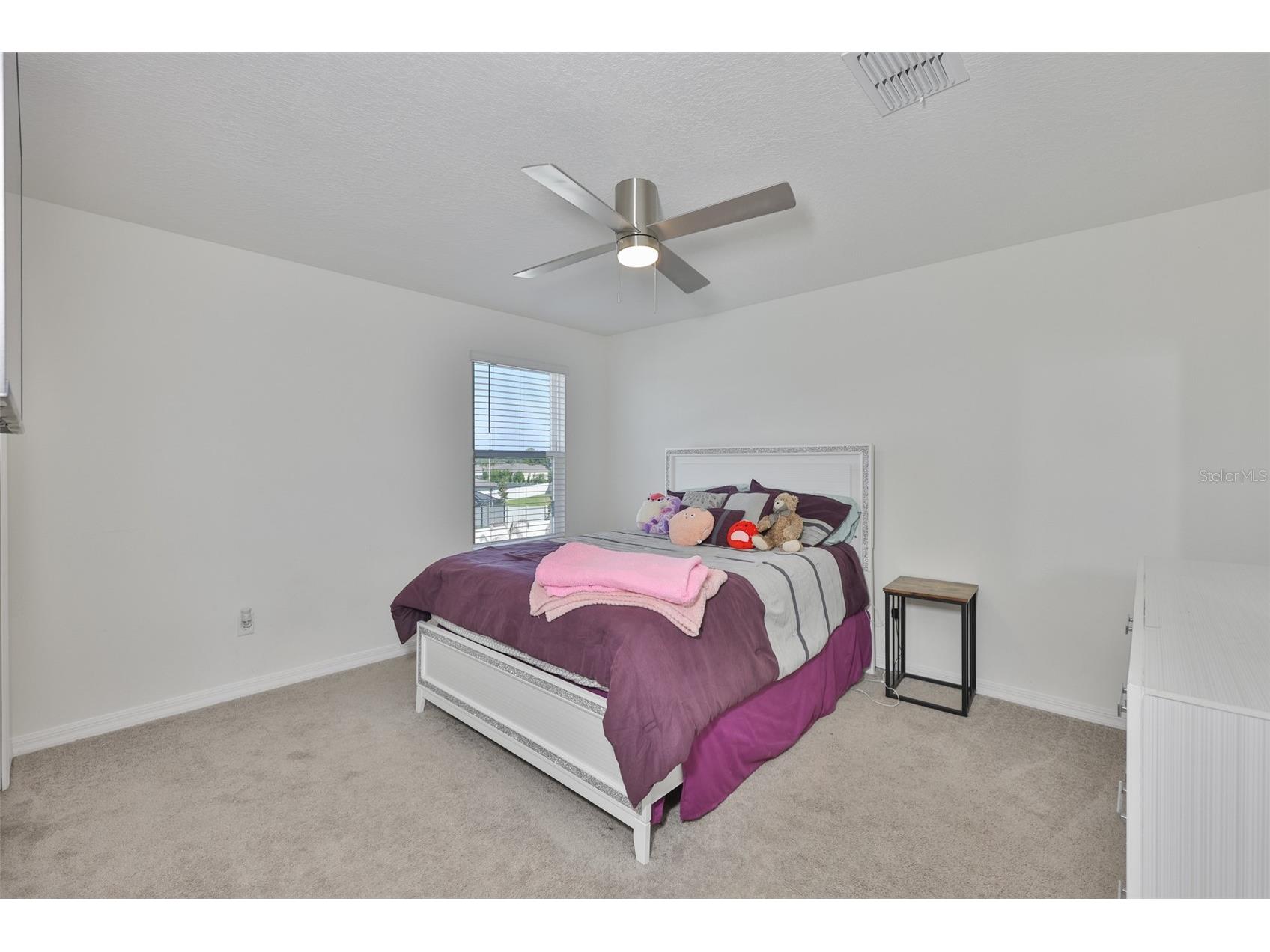 2927 Marine Grass Drive Wimauma FL 33598 TB8520715 image40