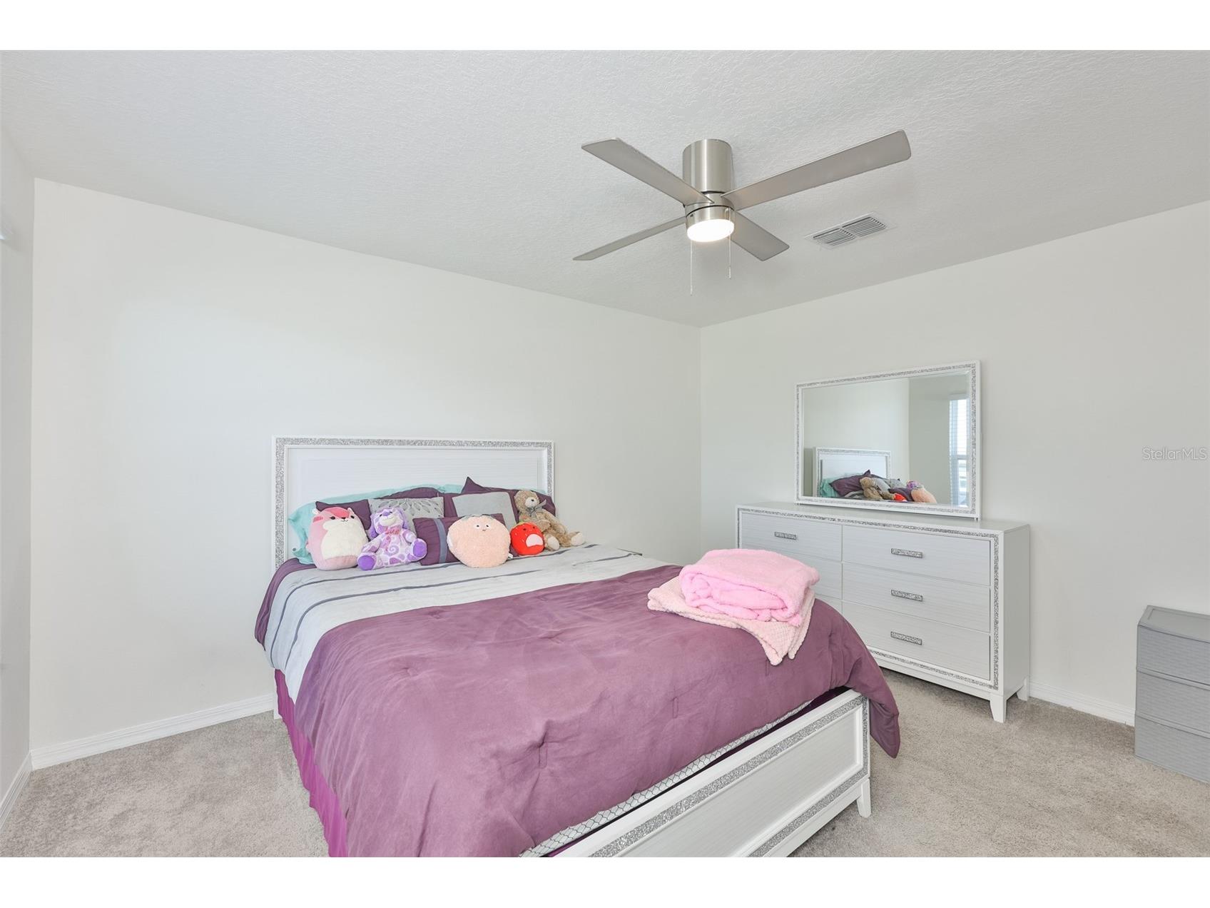 2927 Marine Grass Drive Wimauma FL 33598 TB8520715 image41