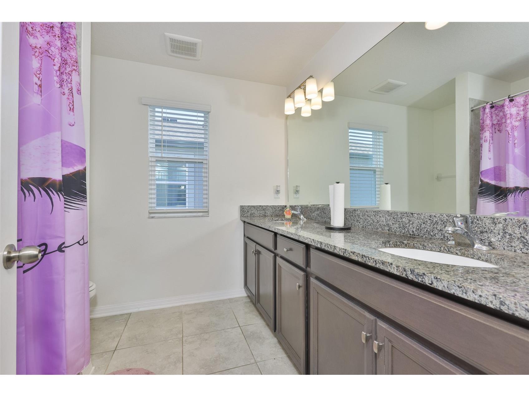 2927 Marine Grass Drive Wimauma FL 33598 TB8520715 image43