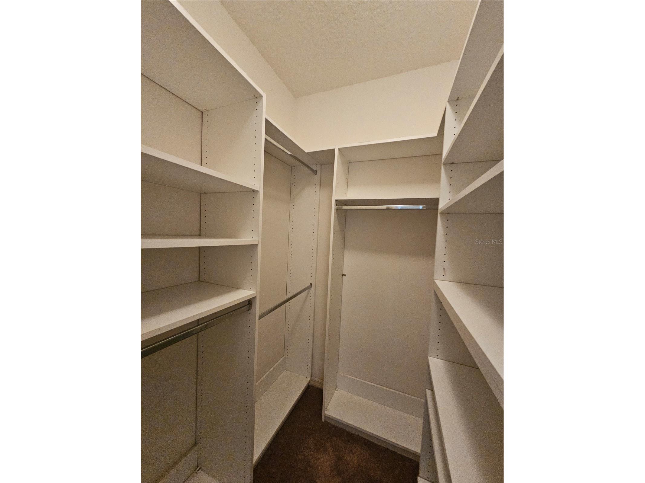 2927 Pointeview Drive Tampa FL 33611 TB8511073 image11