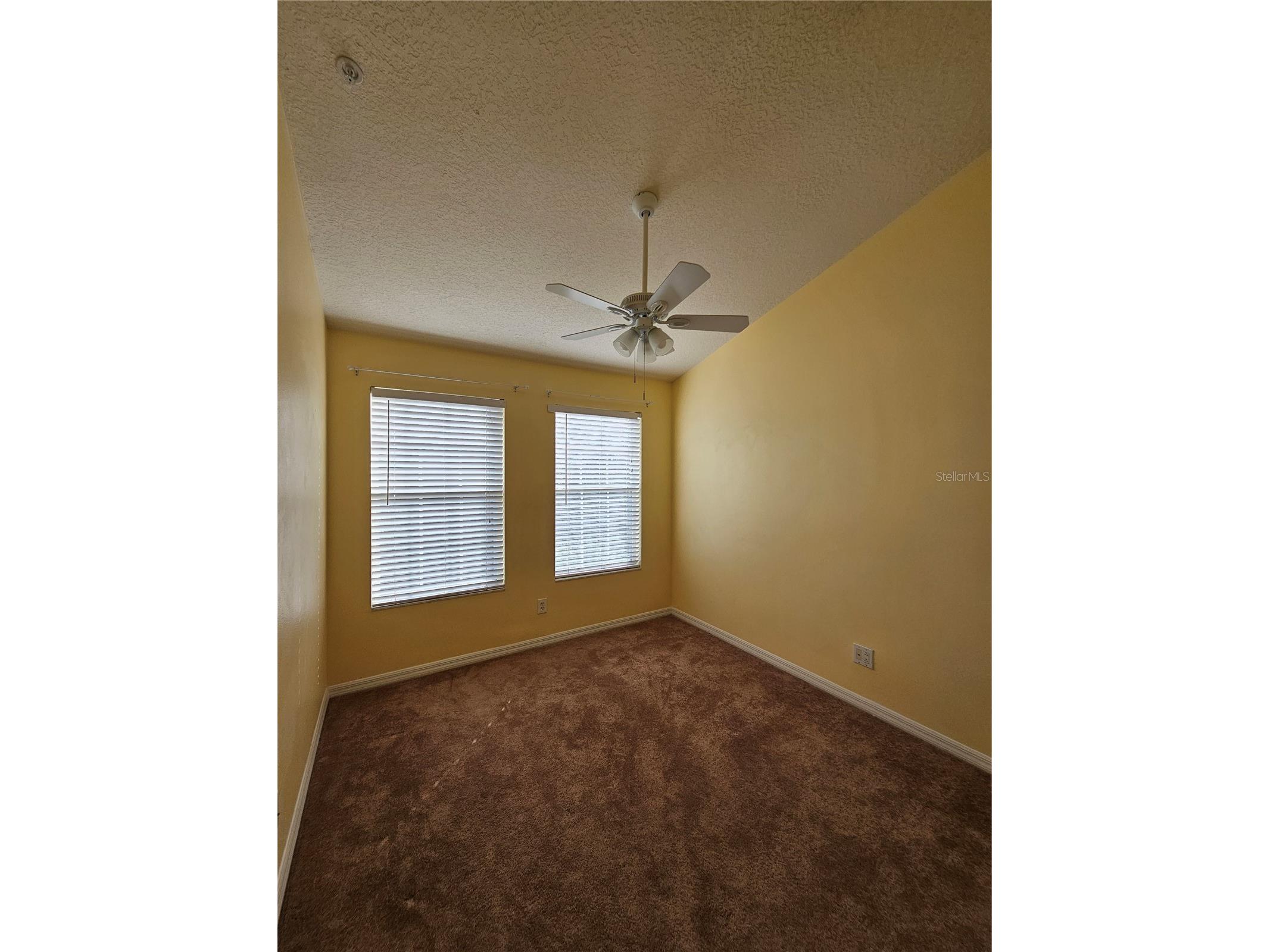 2927 Pointeview Drive Tampa FL 33611 TB8511073 image14