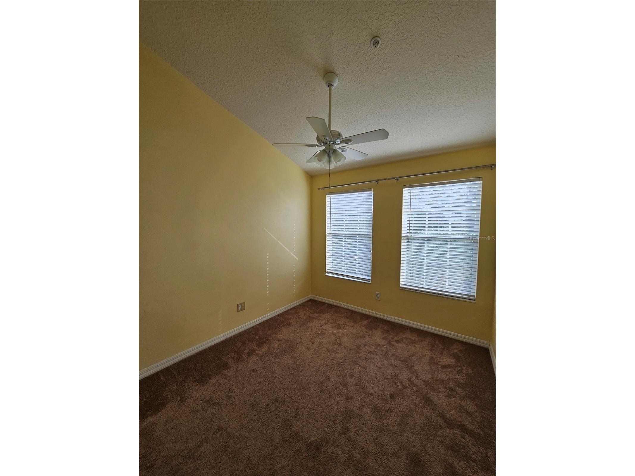 2927 Pointeview Drive Tampa FL 33611 TB8511073 image16