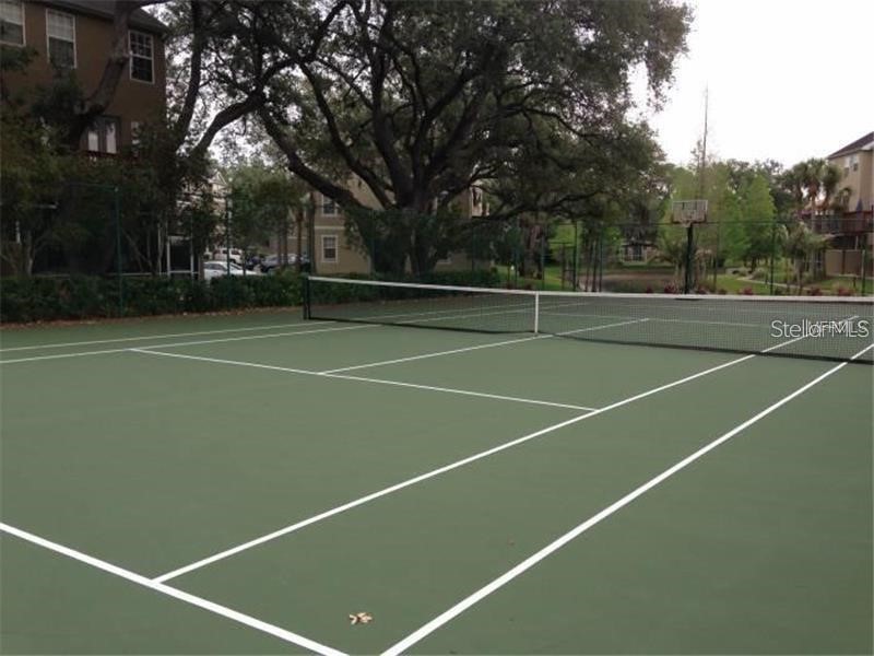 2927 Pointeview Drive Tampa FL 33611 TB8511073 image19