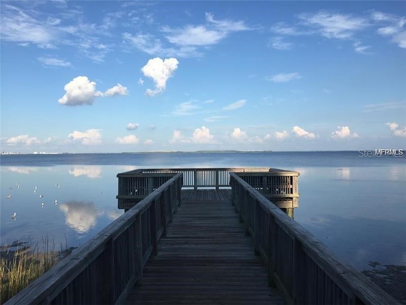 2927 Pointeview Drive Tampa FL 33611 TB8511073 image20