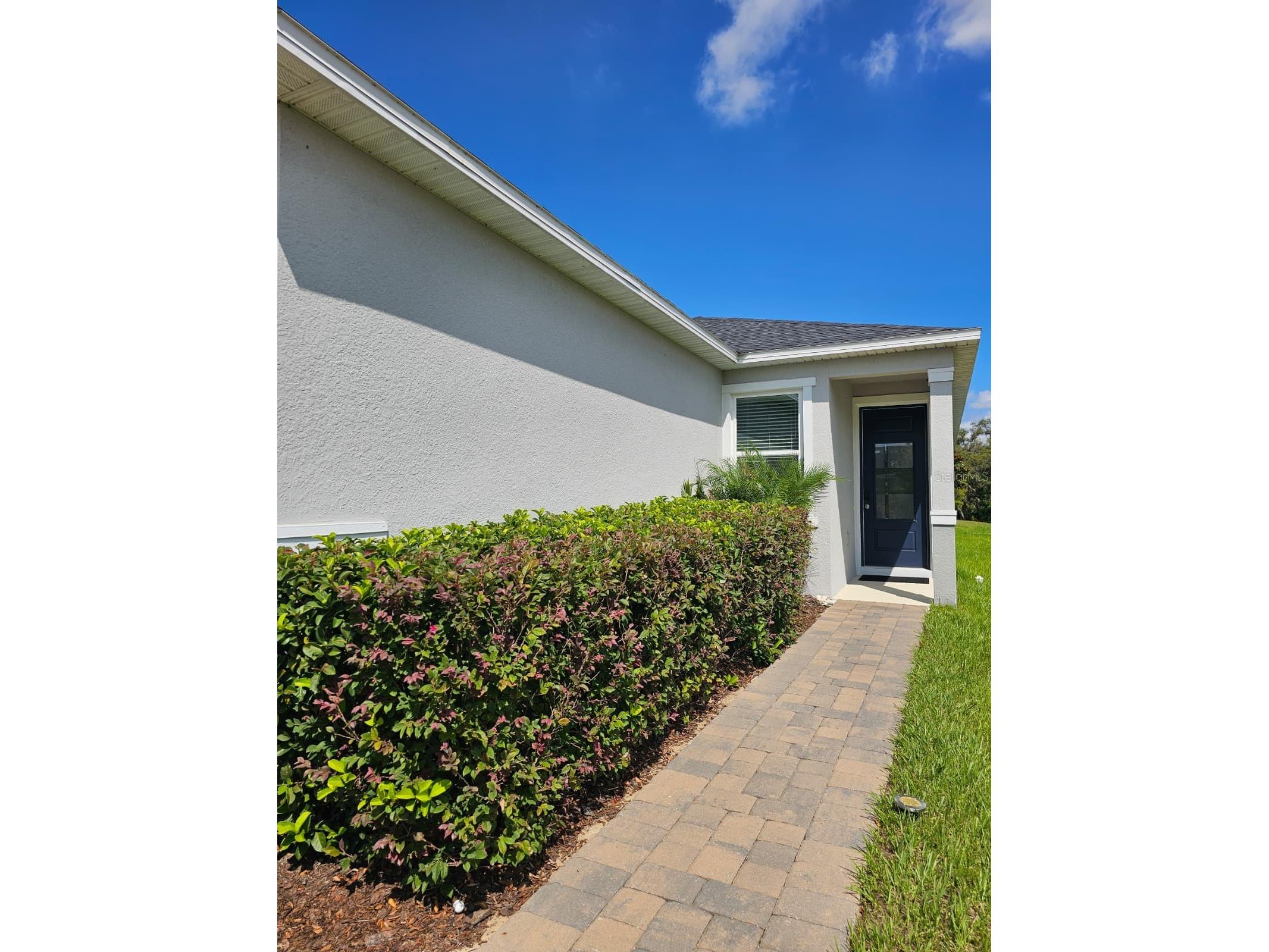 2927 Sanctuary Drive Clermont FL 34714 O6414609 image3
