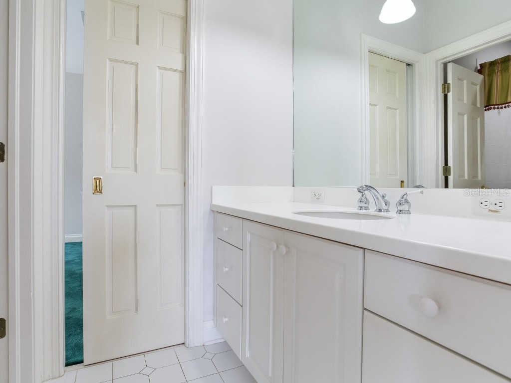 2927 W Bayshore Court Tampa FL 33611 TB8365429 image59