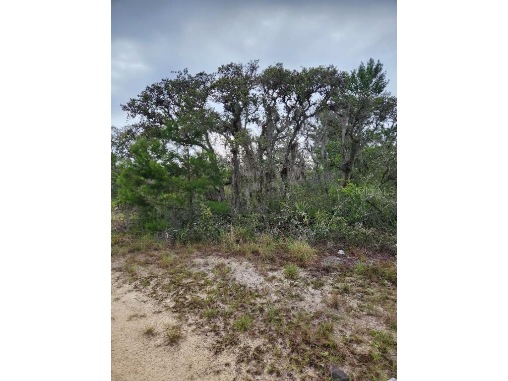 2927 W Beufort Road Avon Park FL 33825 C7477158 image1