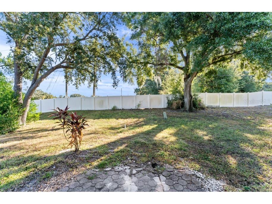 2928 Bancroft Circle E #E Palm Harbor FL 34683 TB8447310 image23