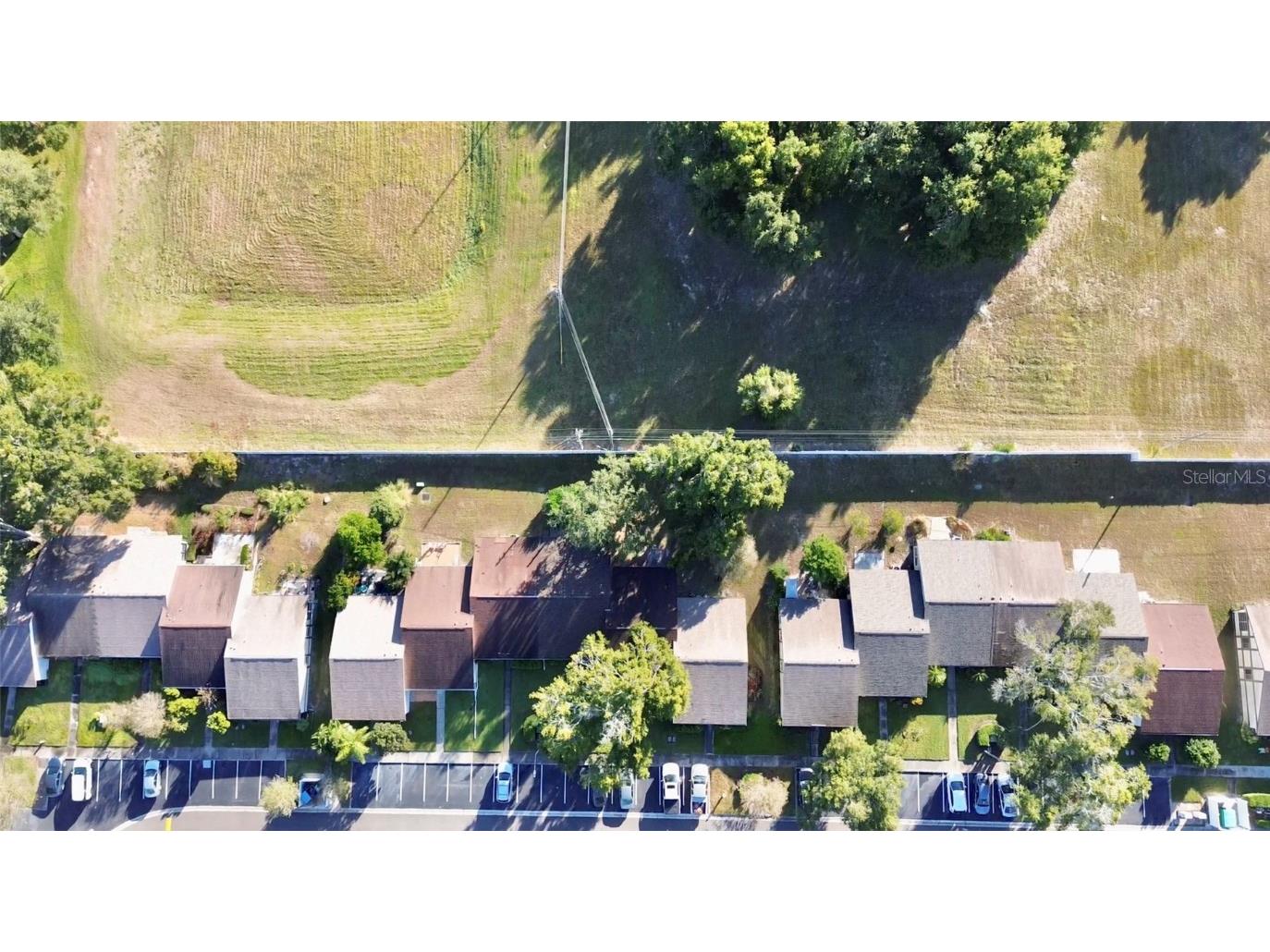 2928 Bancroft Circle E #E Palm Harbor FL 34683 TB8447310 image30