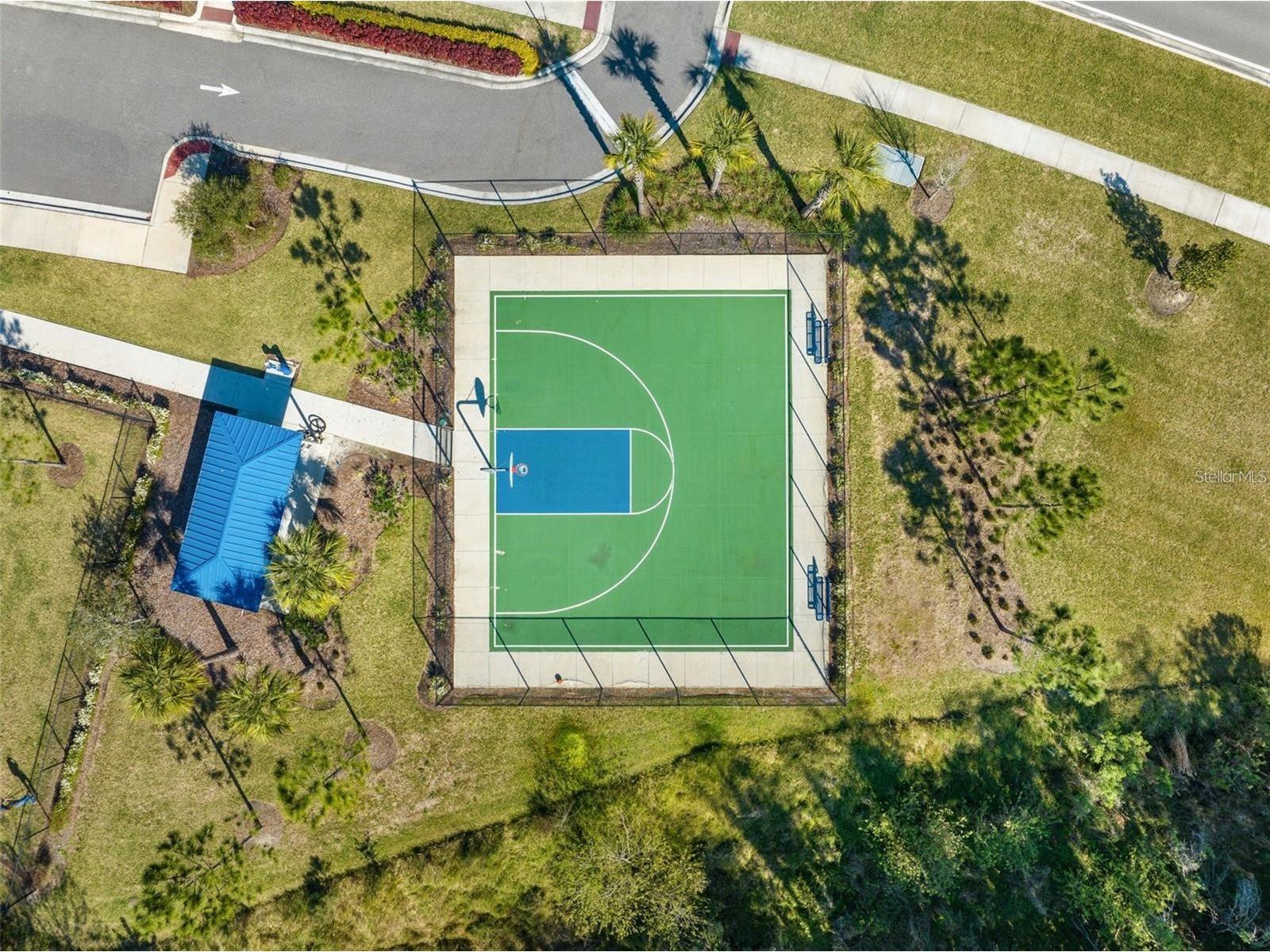 2928 Beluga Bay Drive Odessa FL 33556 TB8498947 image35