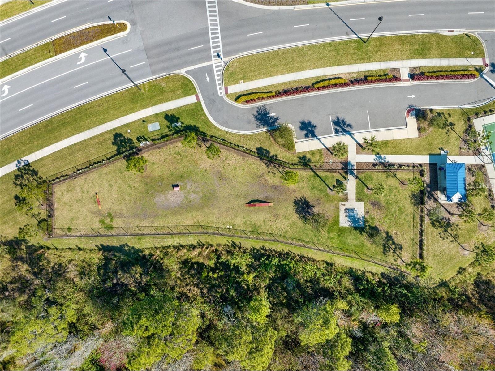 2928 Beluga Bay Drive Odessa FL 33556 TB8498949 image36