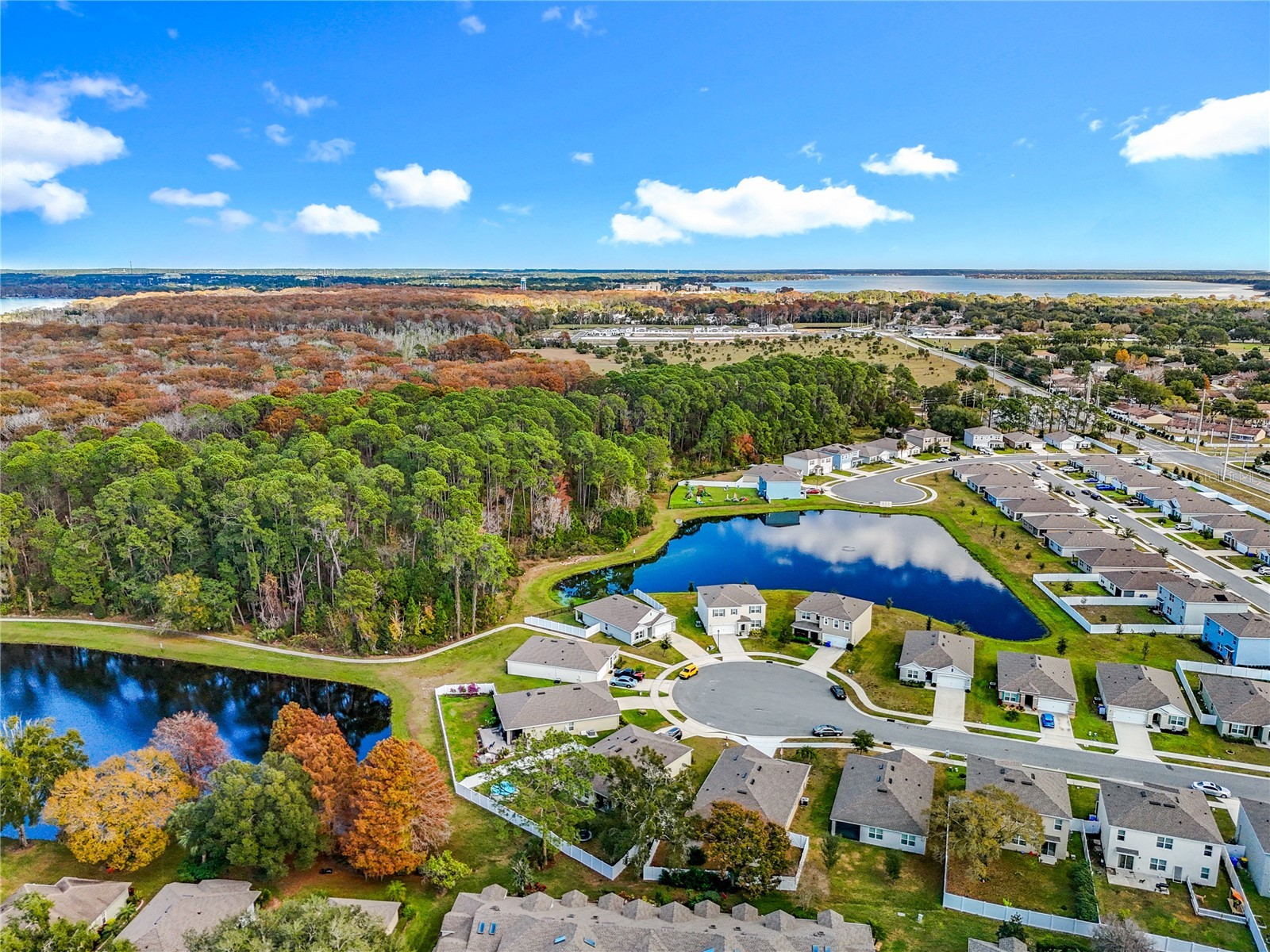 2928 Canary Lane Tavares FL 32778 O6373309 image2