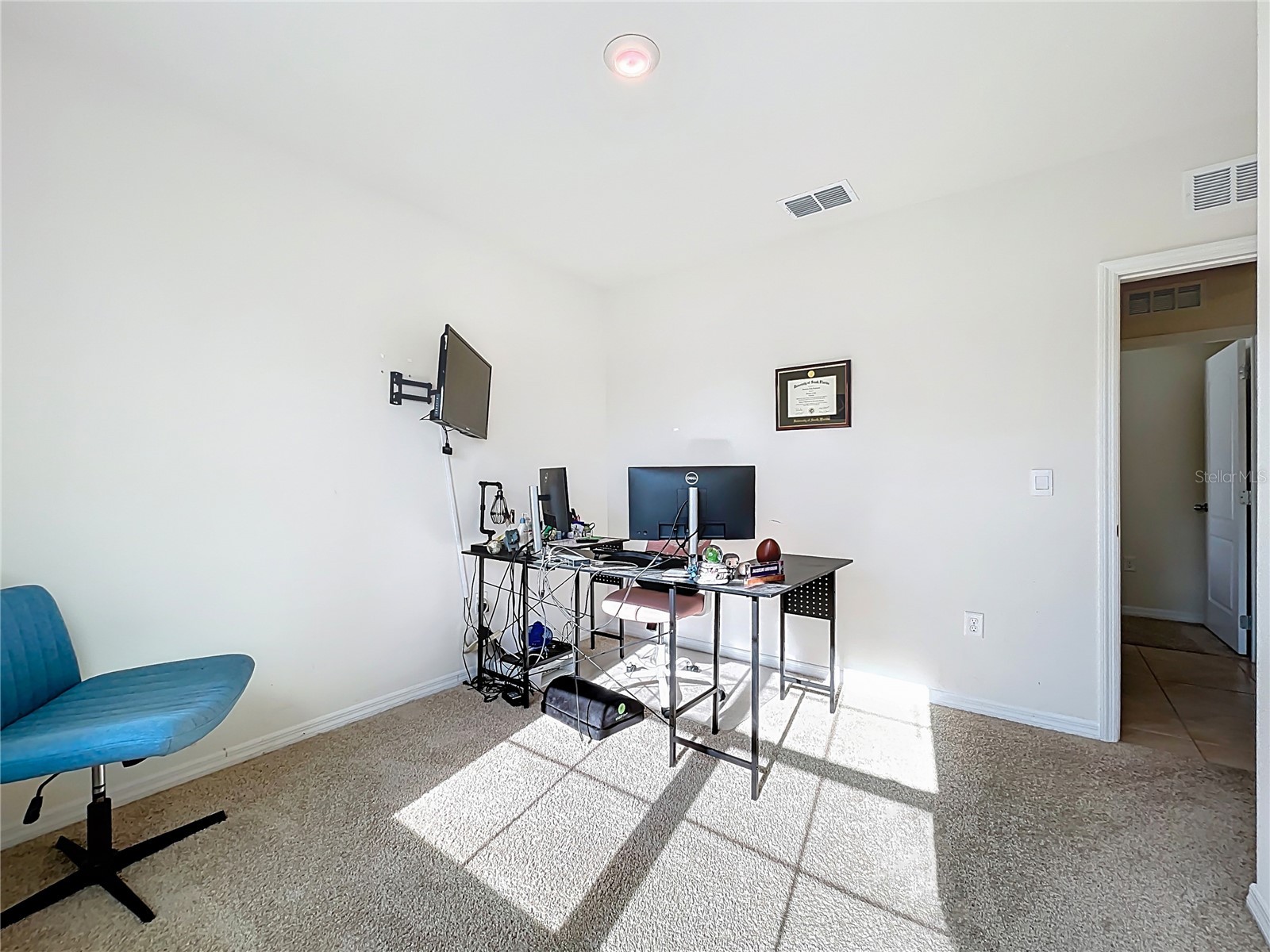 2928 Canary Lane Tavares FL 32778 O6373309 image25