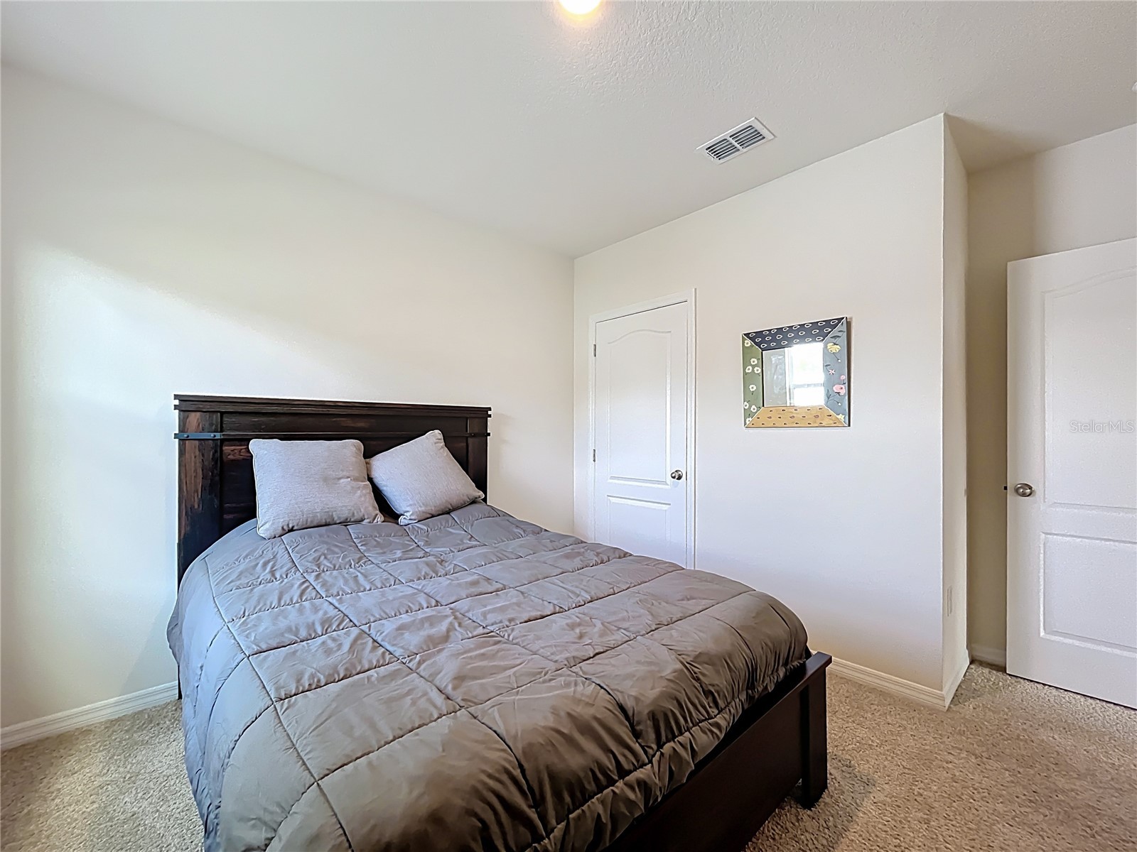 2928 Canary Lane Tavares FL 32778 O6373309 image29