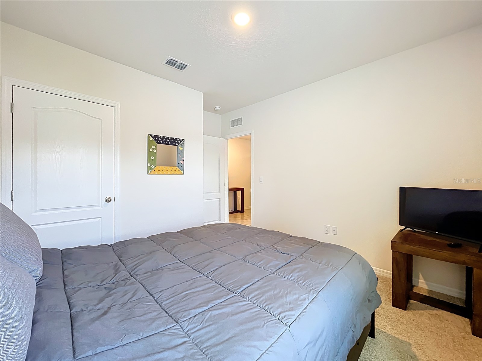 2928 Canary Lane Tavares FL 32778 O6373309 image30