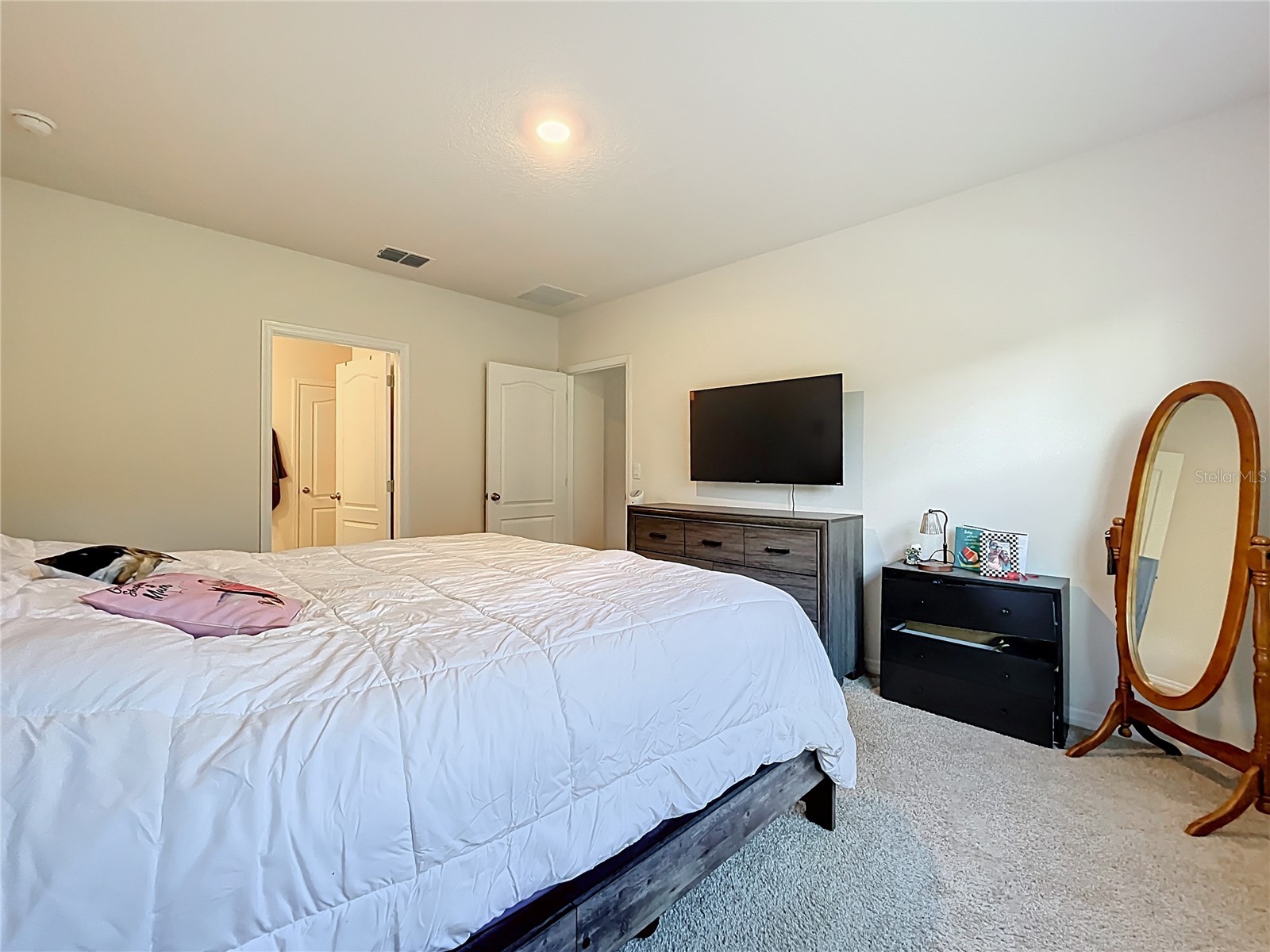 2928 Canary Lane Tavares FL 32778 O6373309 image39