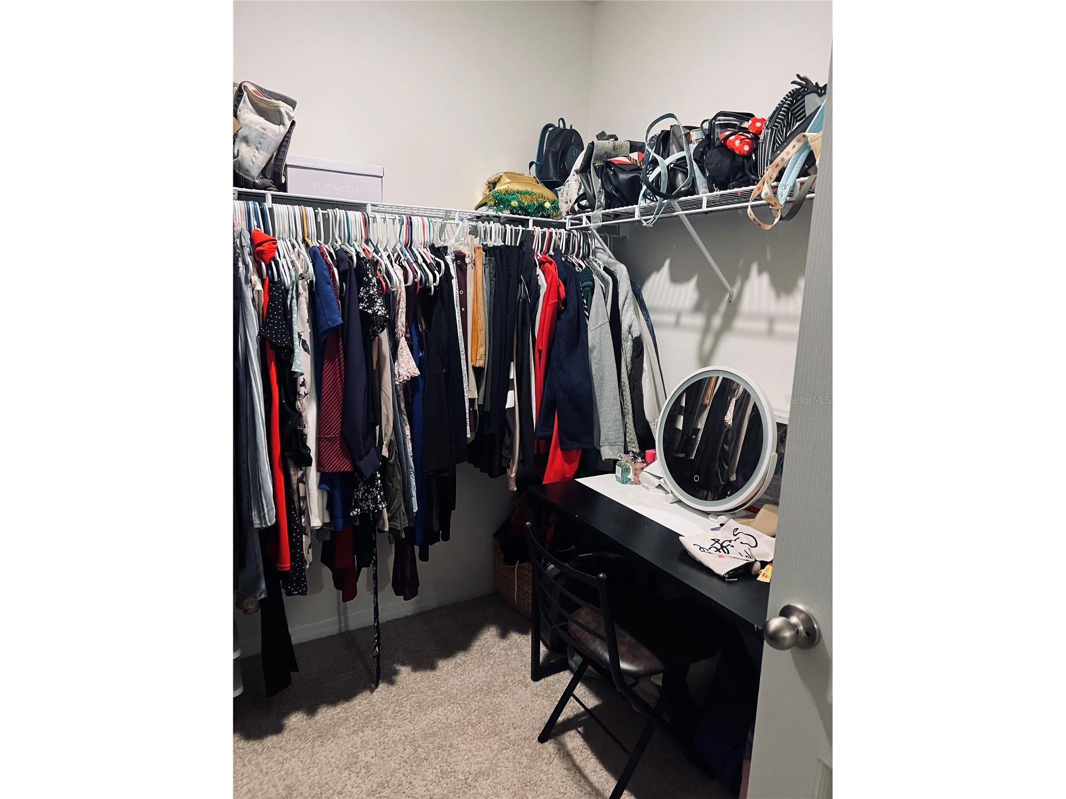 2928 Canary Lane Tavares FL 32778 O6373309 image44