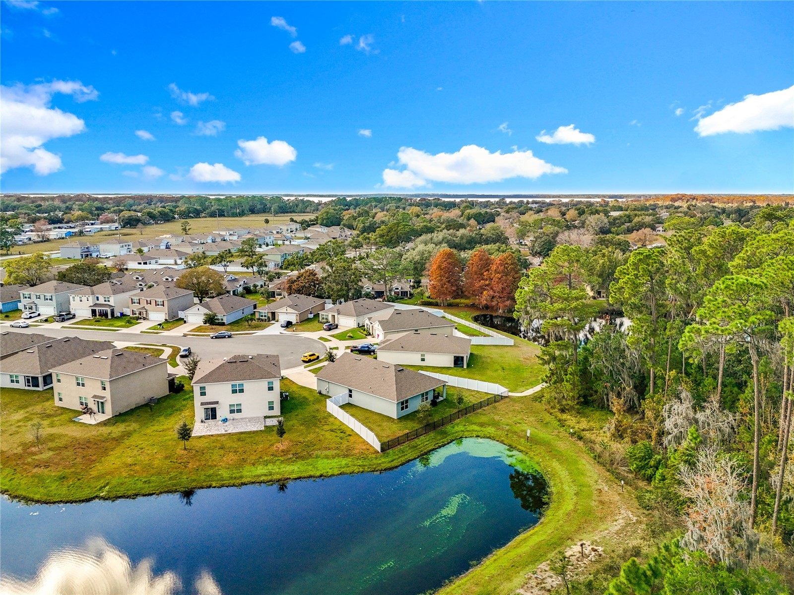 2928 Canary Lane Tavares FL 32778 O6373309 image55