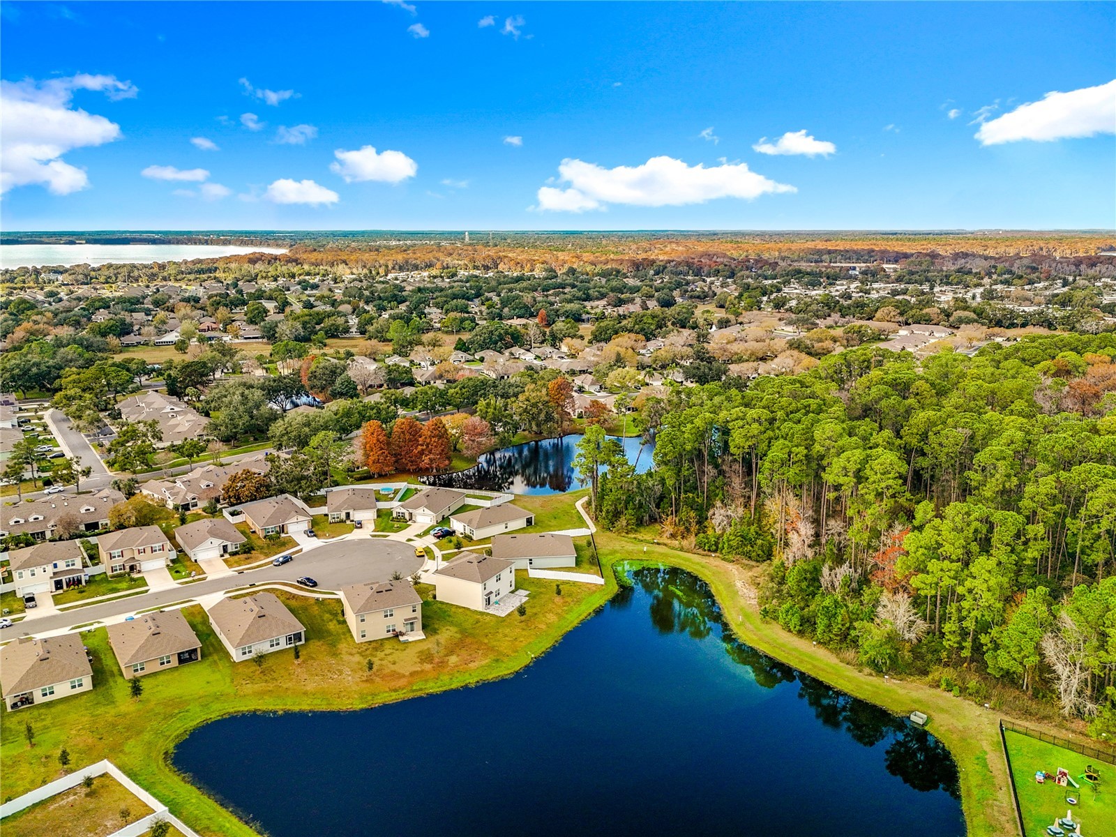 2928 Canary Lane Tavares FL 32778 O6373309 image56