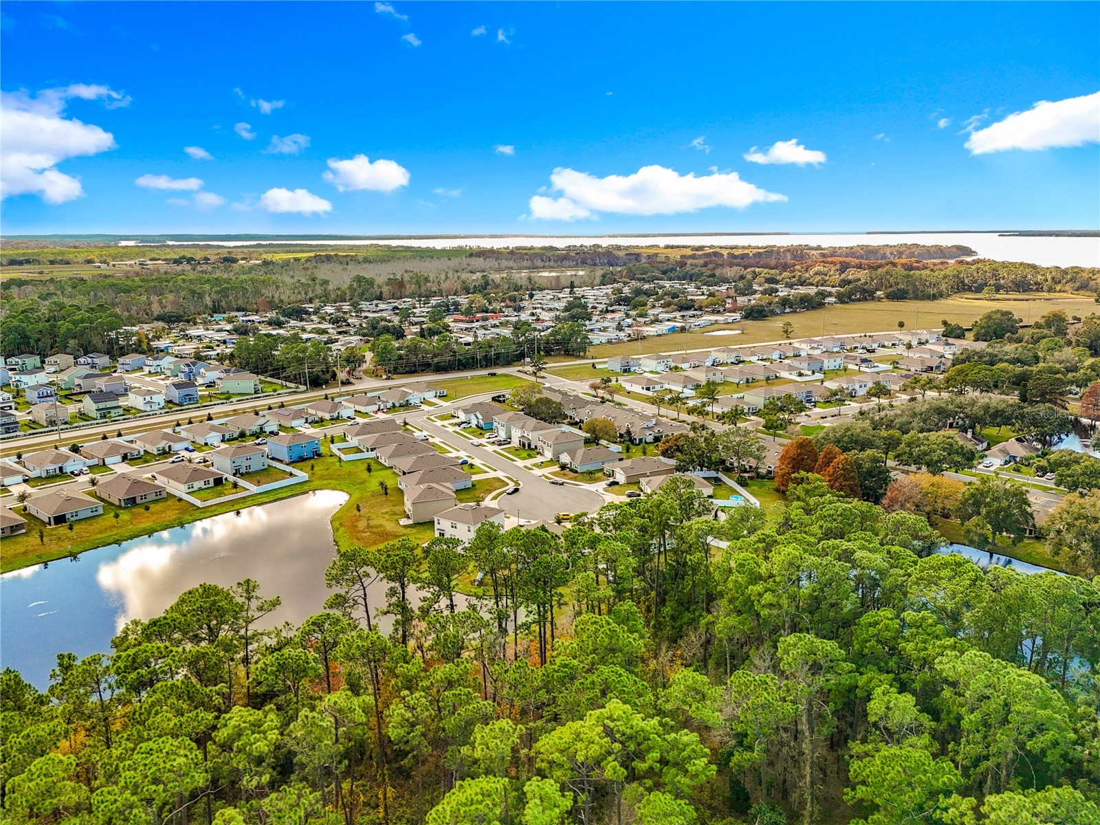 2928 Canary Lane Tavares FL 32778 O6373309 image58